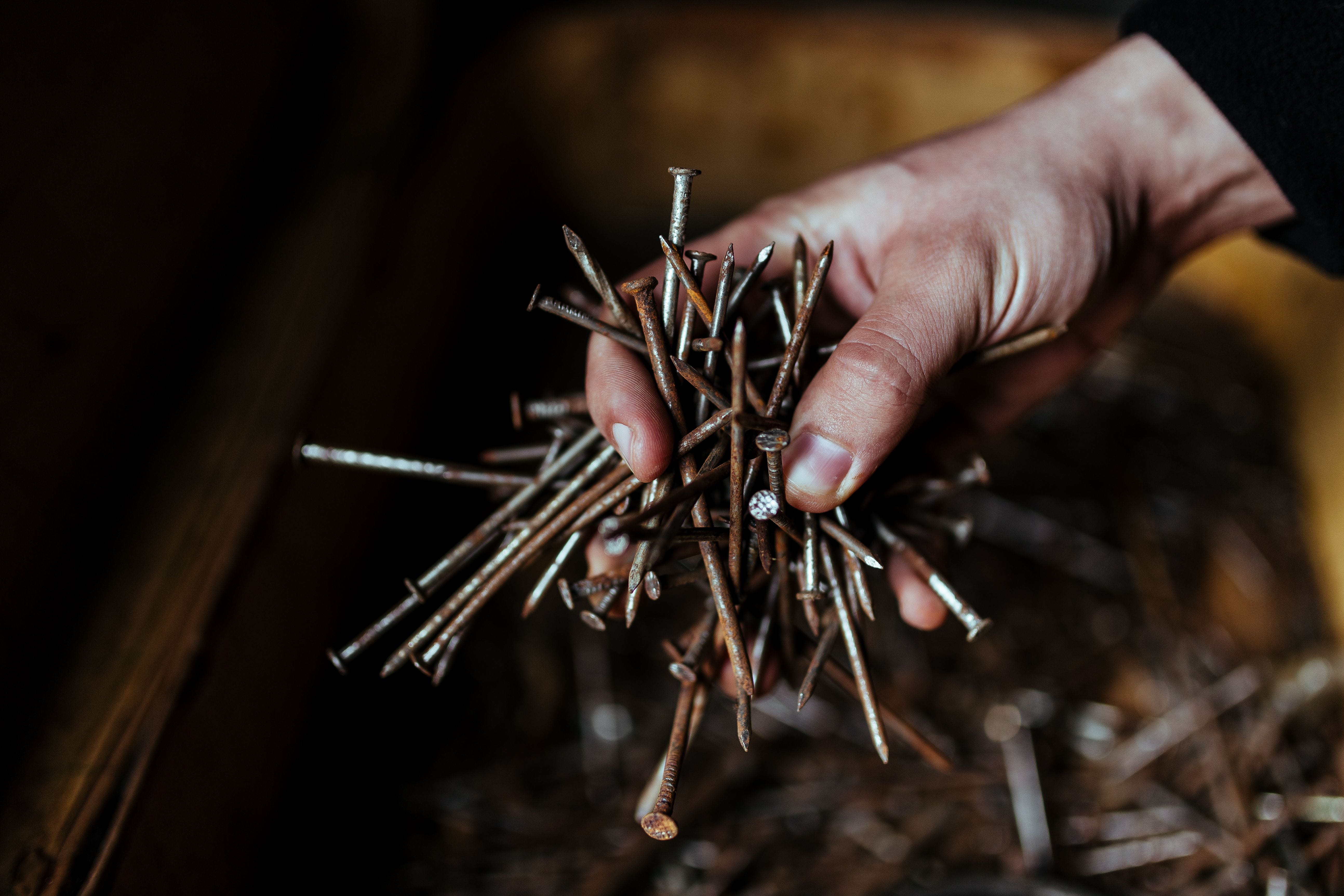 spanner, finger, repair, selective focus, focus on foreground, one animal, diy, animal wildlife, 5K, garage, bolts, holding, human Hand, shed, nails, nuts, HD Wallpaper