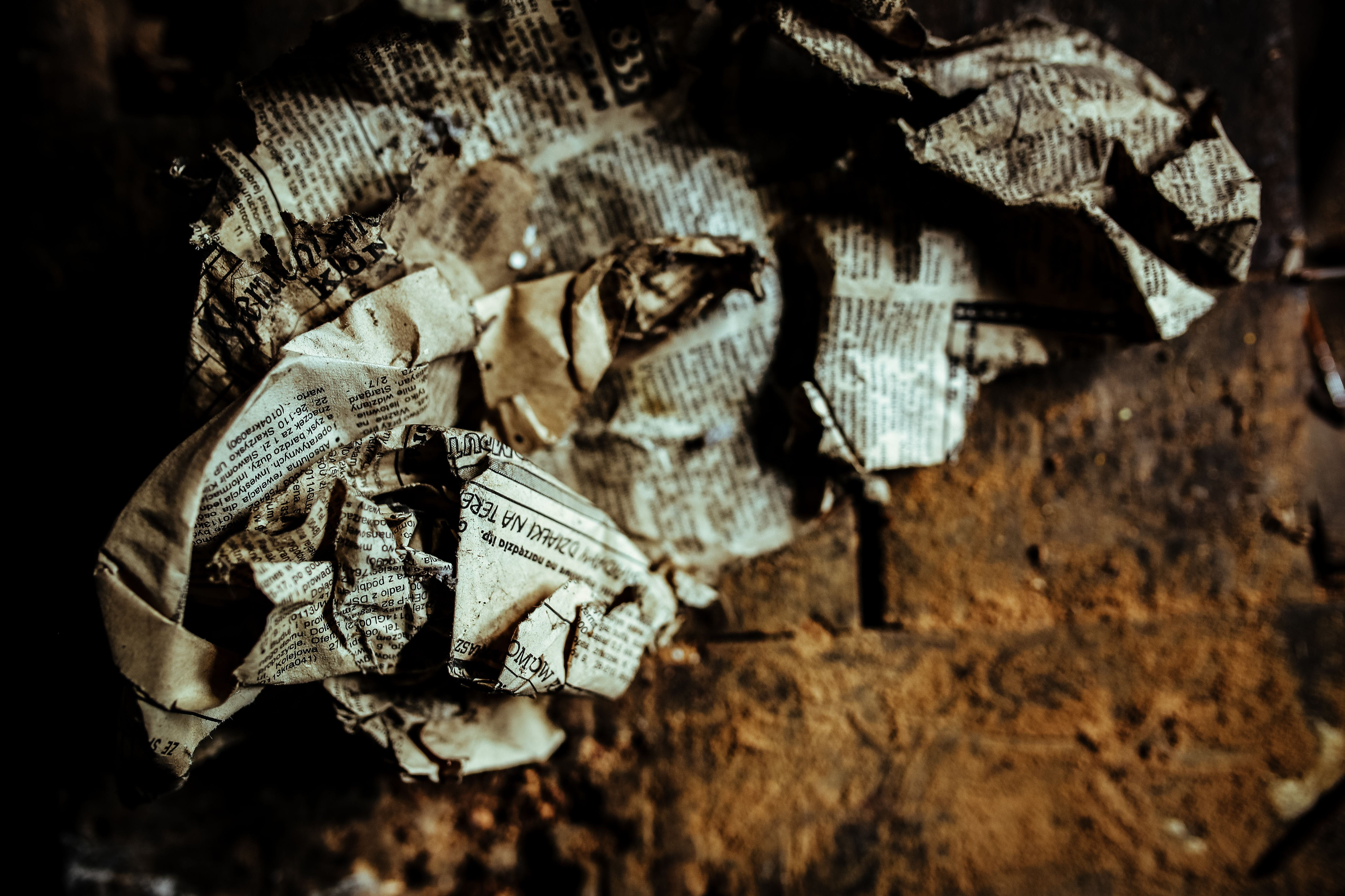 night, close-up, garage, workshop, human skeleton, textured, bolts, shed, animal skull, studio shot, nature, 5K, pattern, spooky, concepts And Ideas, diy, HD Wallpaper
