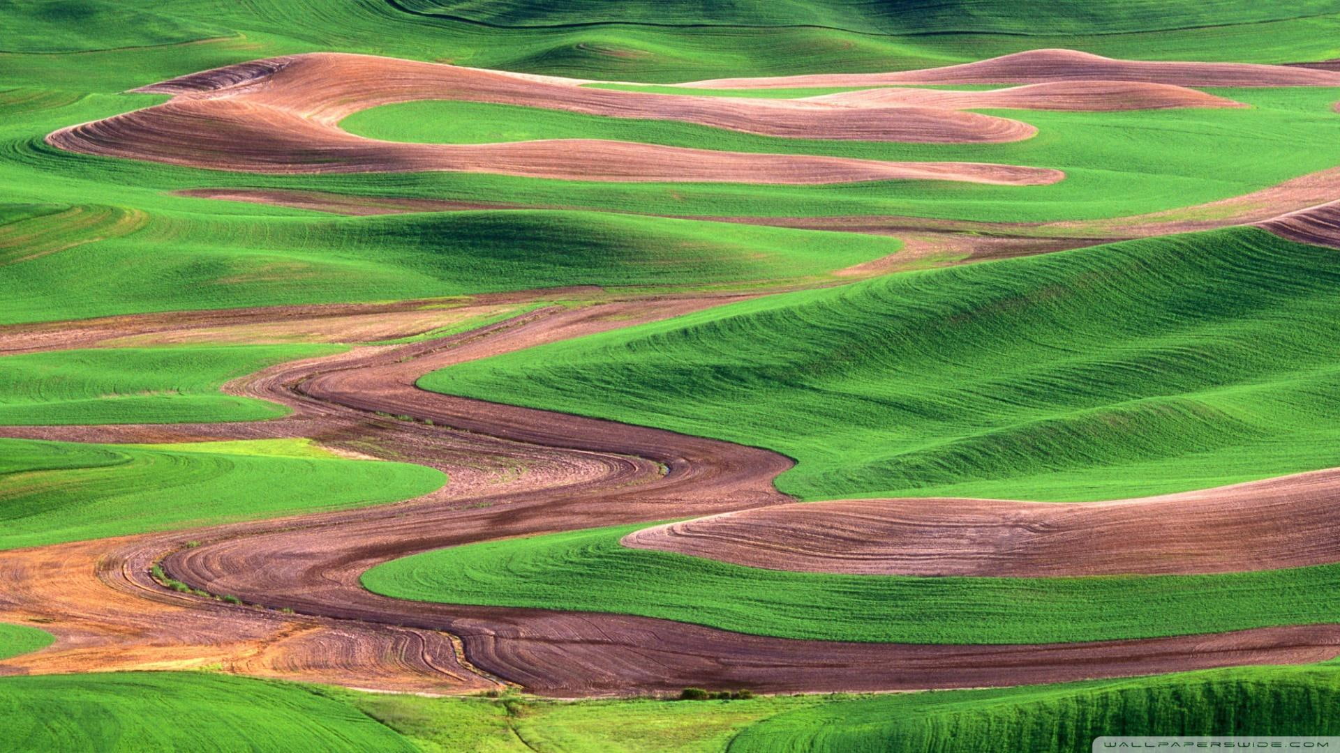 hills, washington, nature and landscapes, 1080P, linear, brown, green, butte, steptoe, HD Wallpaper