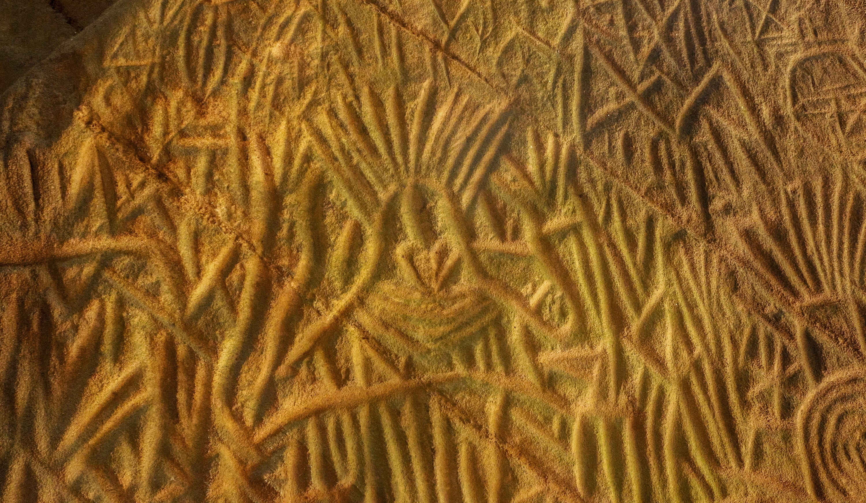 art and craft, history, textured effect, kerala, cereal plant, archeology, heritage, full frame, nature, Ancient, decoration, gold colored, civilization, HD Wallpaper