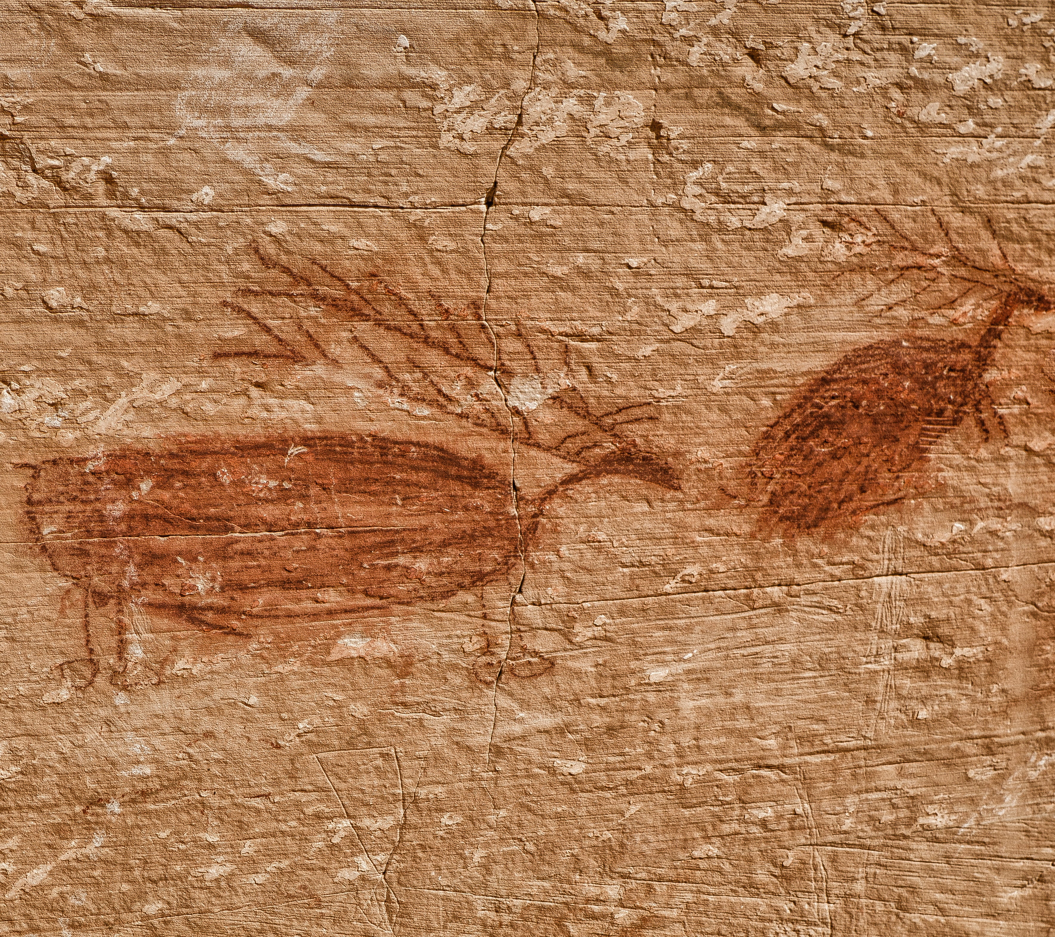 day, culture, brown, drawing, creativity, pattern, nature, wall - building feature, close-up, history, old, wood, wood grain, art and craft, native, limestone, HD Wallpaper