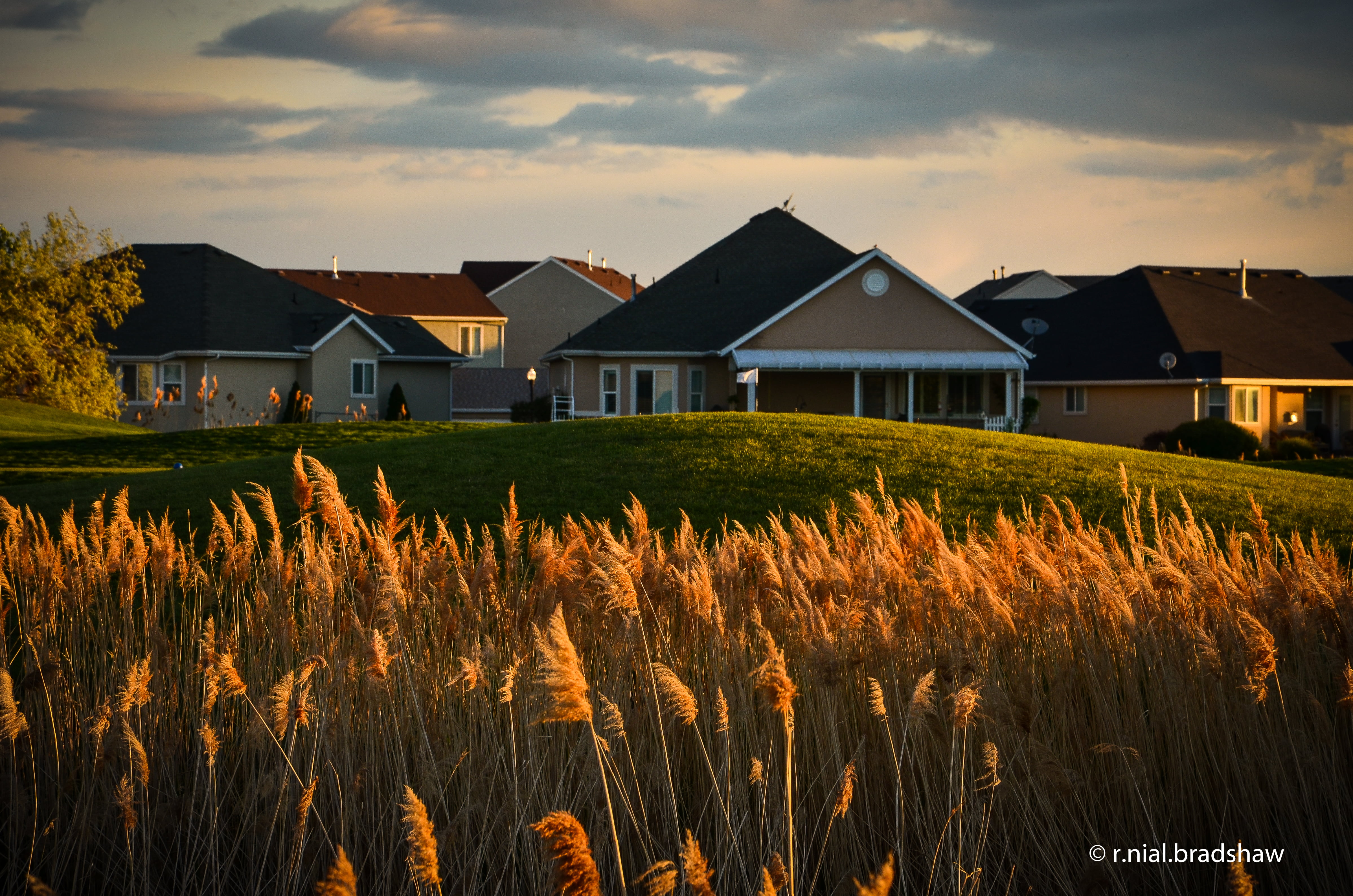 image, things, royalty, neighborhood, DX format, sunrise, vignette, outdoors, jpg, golden hour, morning, 105mm, AF, ISO, stock photo, sunset, NOUNS, suburbia, HD Wallpaper