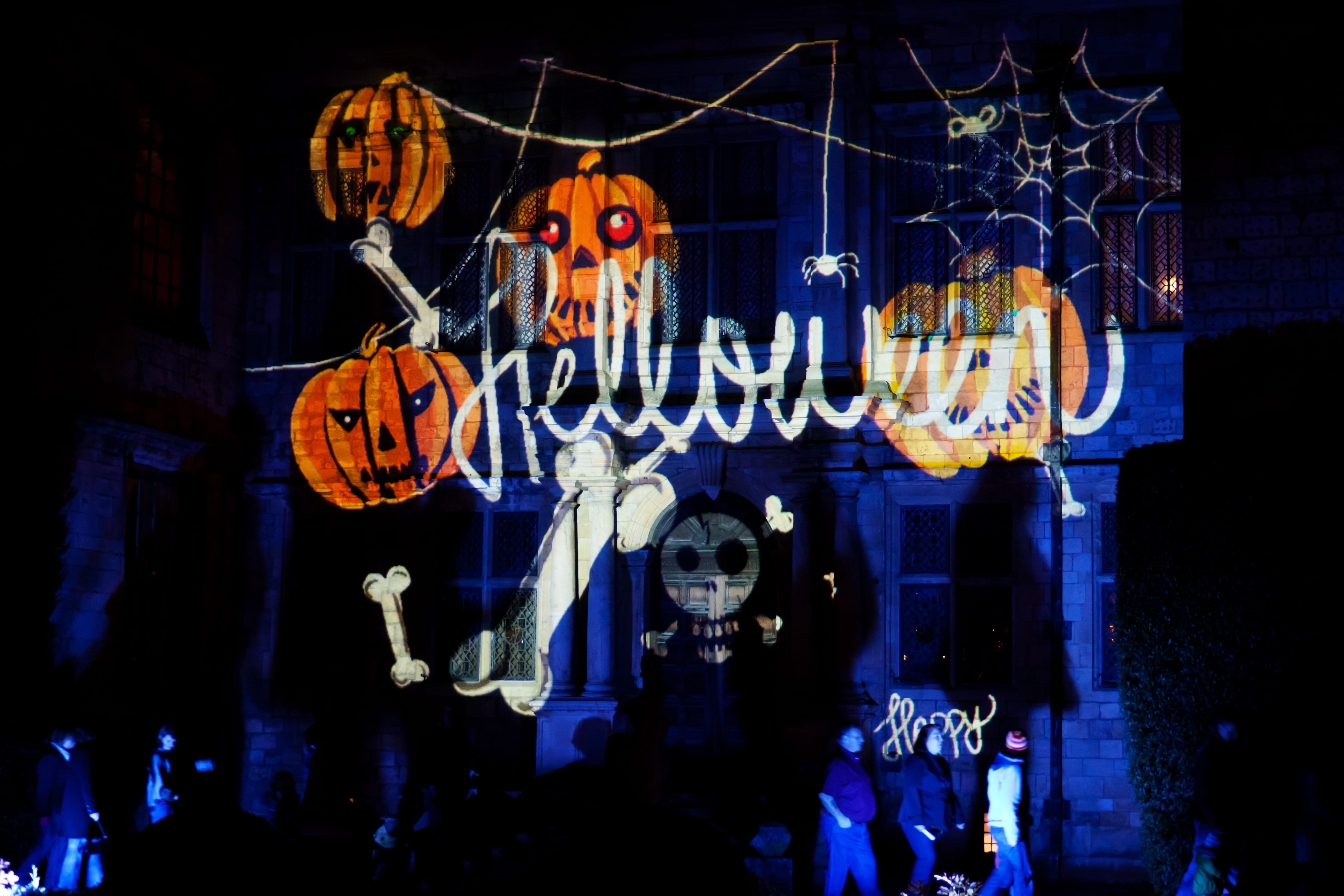city, sign, hanging, october, lantern, glowing, pumpkin, building exterior, Celebration, Dark, decoration, night, outdoors, holiday, text, fun, season, HD Wallpaper