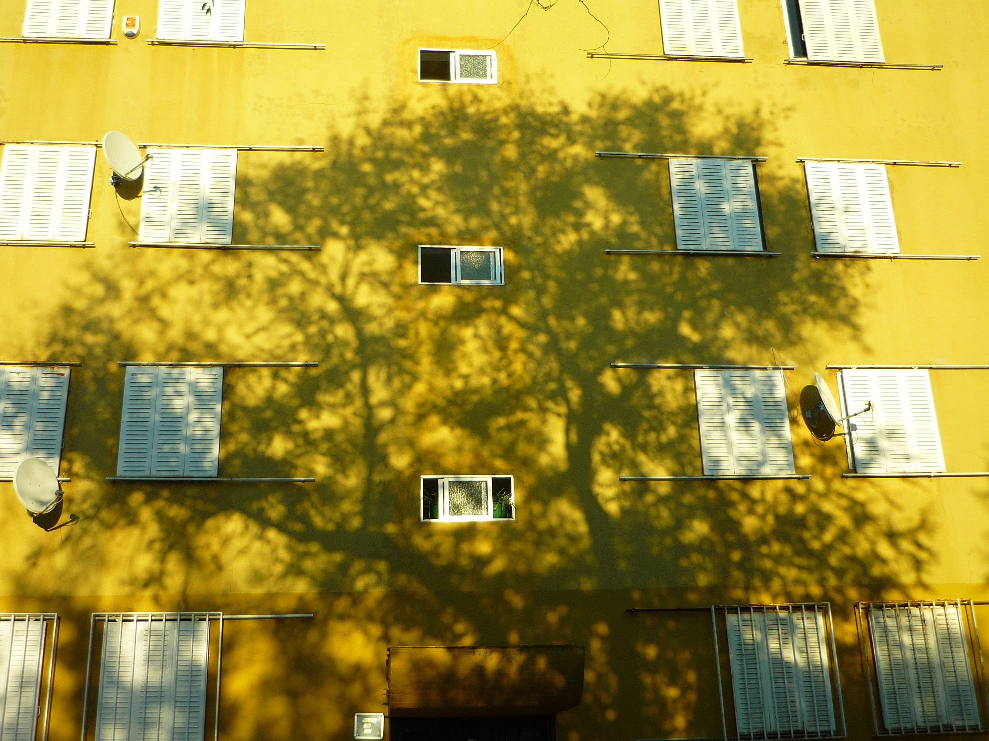 outdoors, shadow, full frame, office building exterior, building, building exterior, tree, pattern, window, silhouette, facade, housing, day, closed, yellow, HD Wallpaper