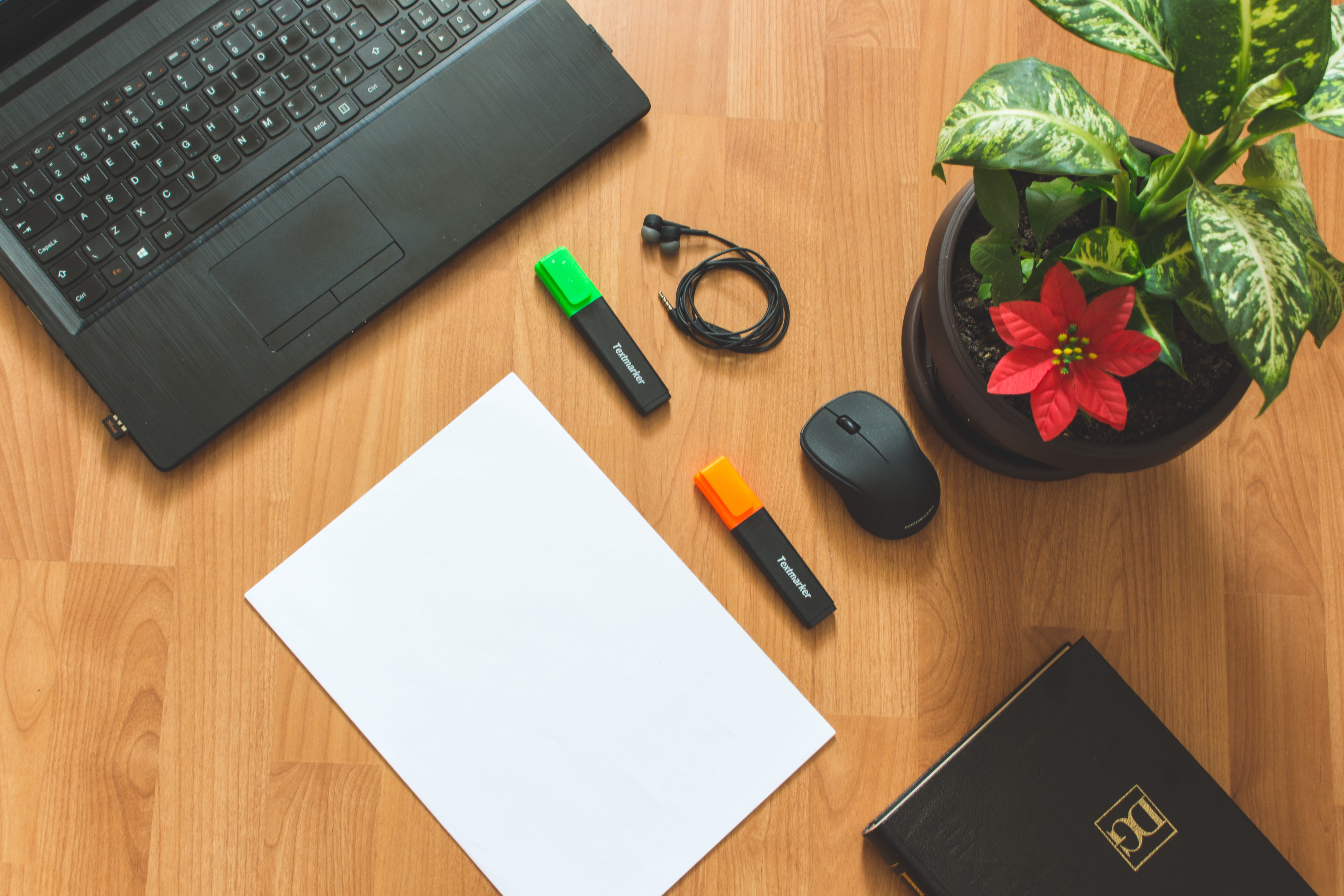 paper, wooden, electronics, plant, wooden table, apple mouse, black, table, office, wireless, desk, business, surfac, indoors, computer keyboard, flower, HD Wallpaper