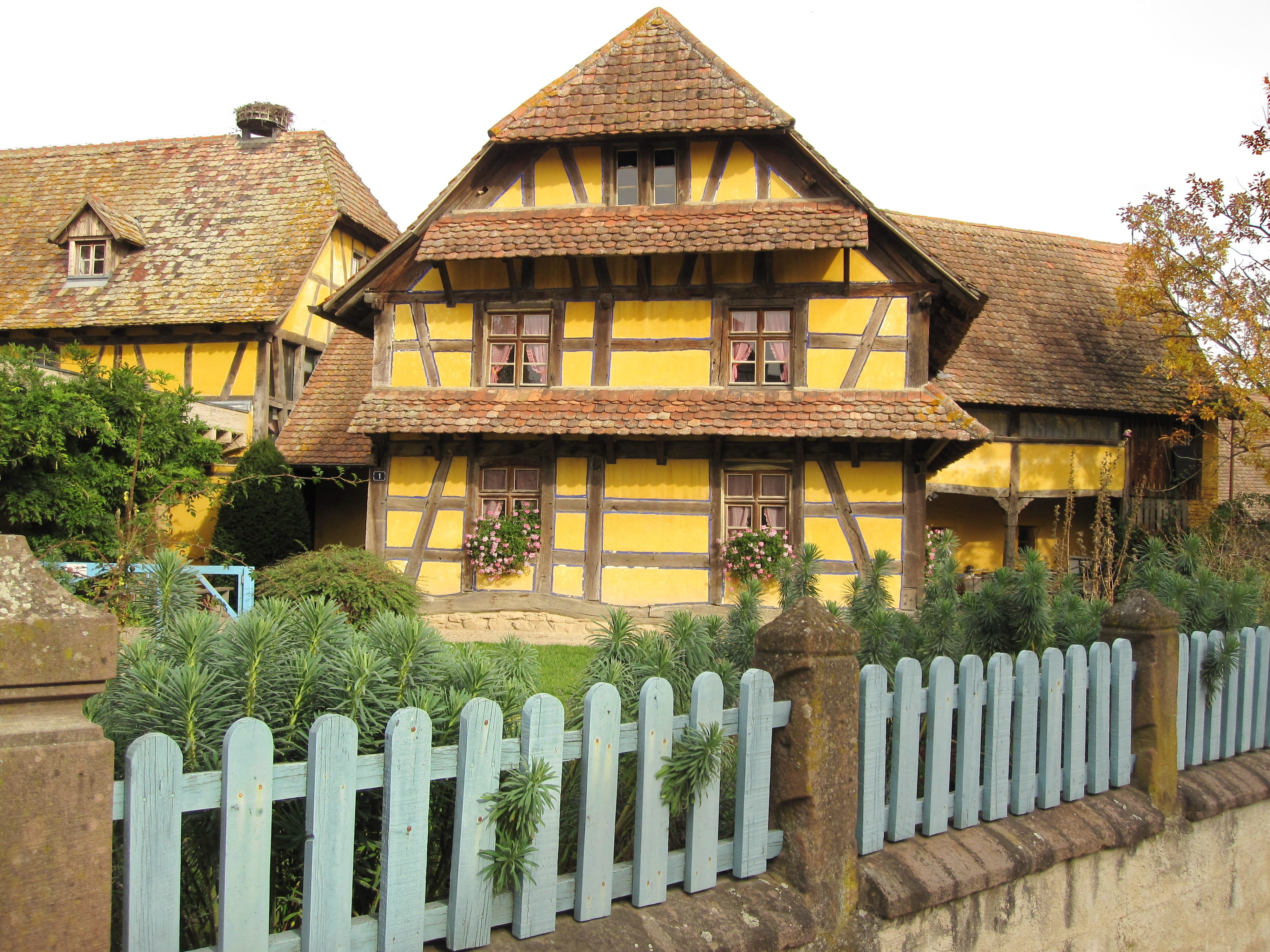 house, garden, rural, residential building, open air museum, agriculture museum, architecture, fence, plant, wood - material, farm museum, village, outdoors, HD Wallpaper