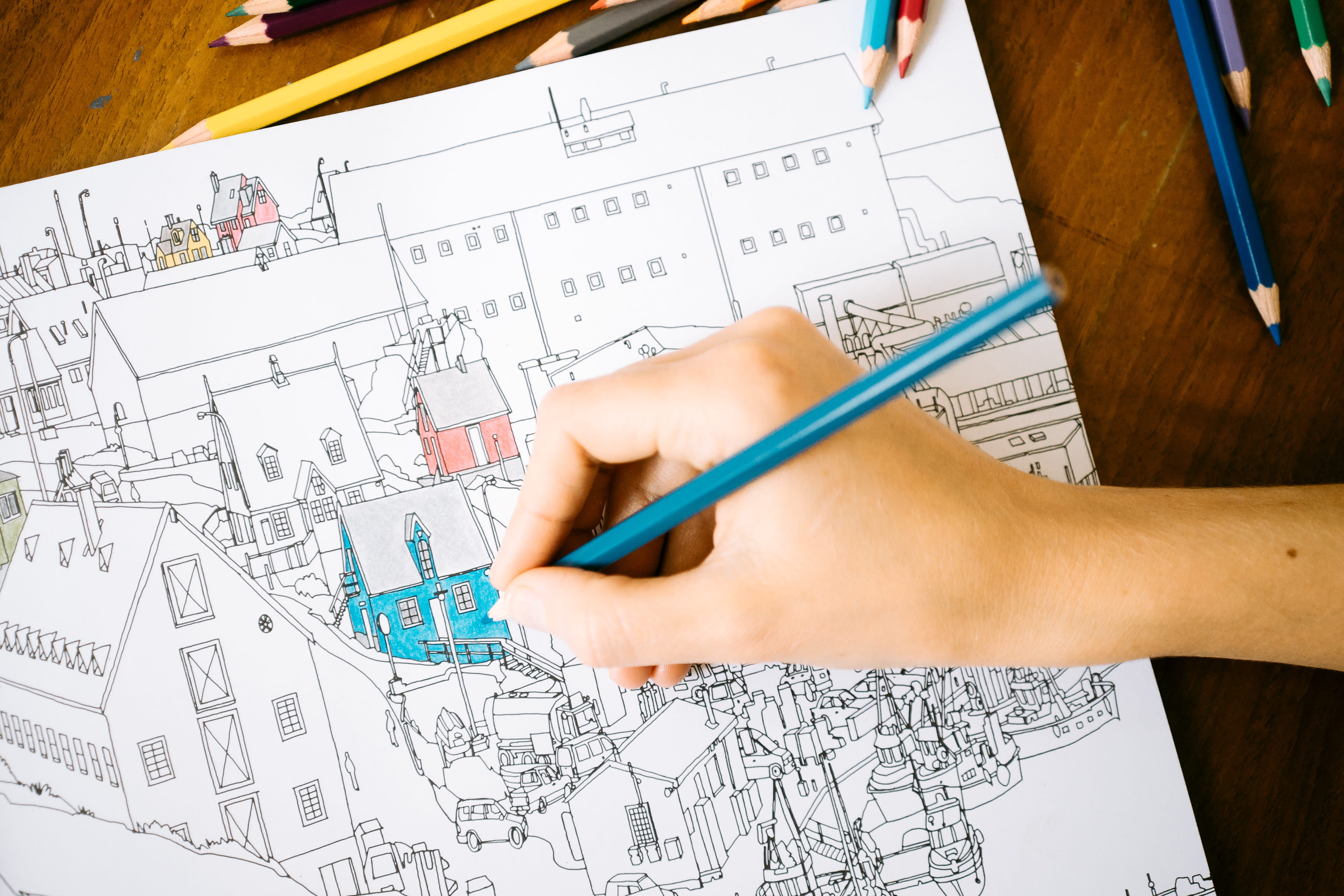 human Hand, blueprint, construction Industry, planning, holding, Adult, indoors, 4K, industry, arts and Entertainment, architecture, drawing - Activity, HD Wallpaper