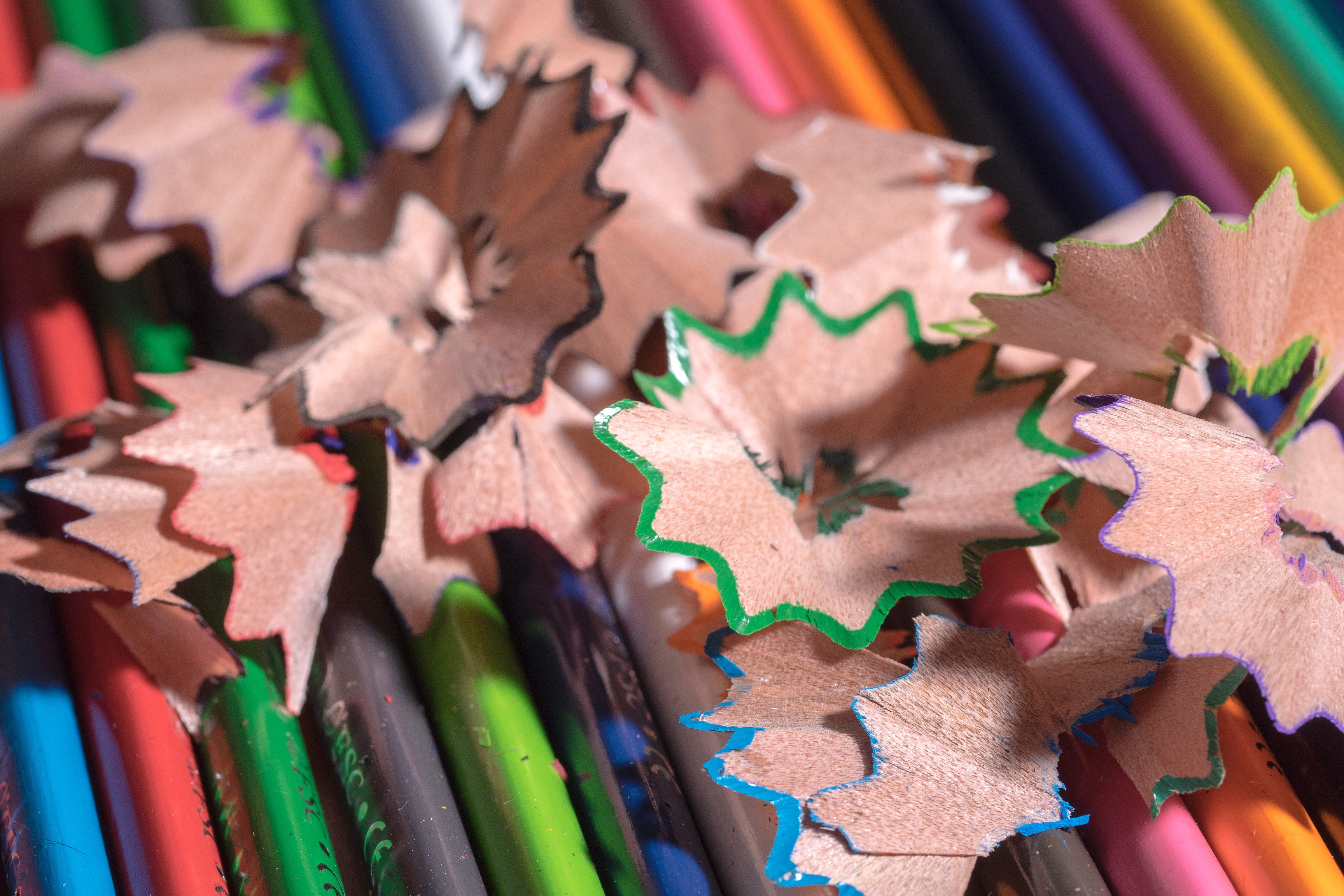 closeup, holzspähne, children, school, education, creativity, spitzer, pencils, still life, art and craft equipment, draw, celebration, selective focus, HD Wallpaper