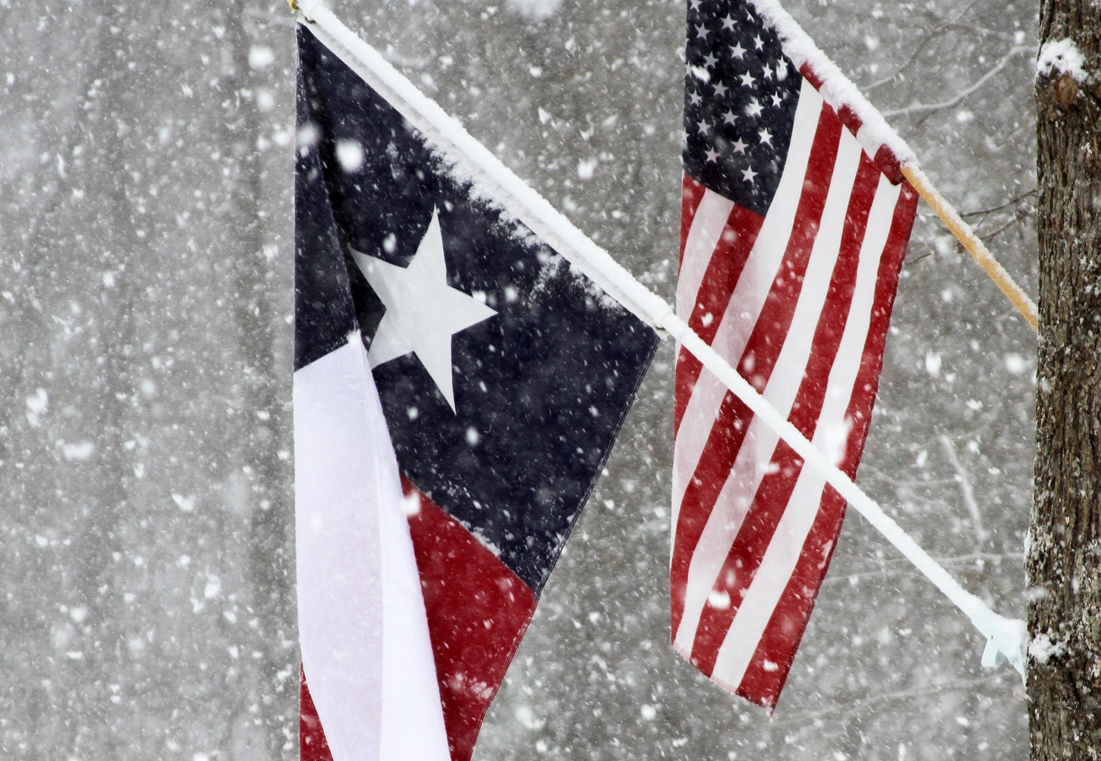 usa, snowing, country, texan, america, 1080P, hanged, nation, texas, red, tree, blizzard, extreme weather, nature, star, symbol, patriotic, state, flag, HD Wallpaper