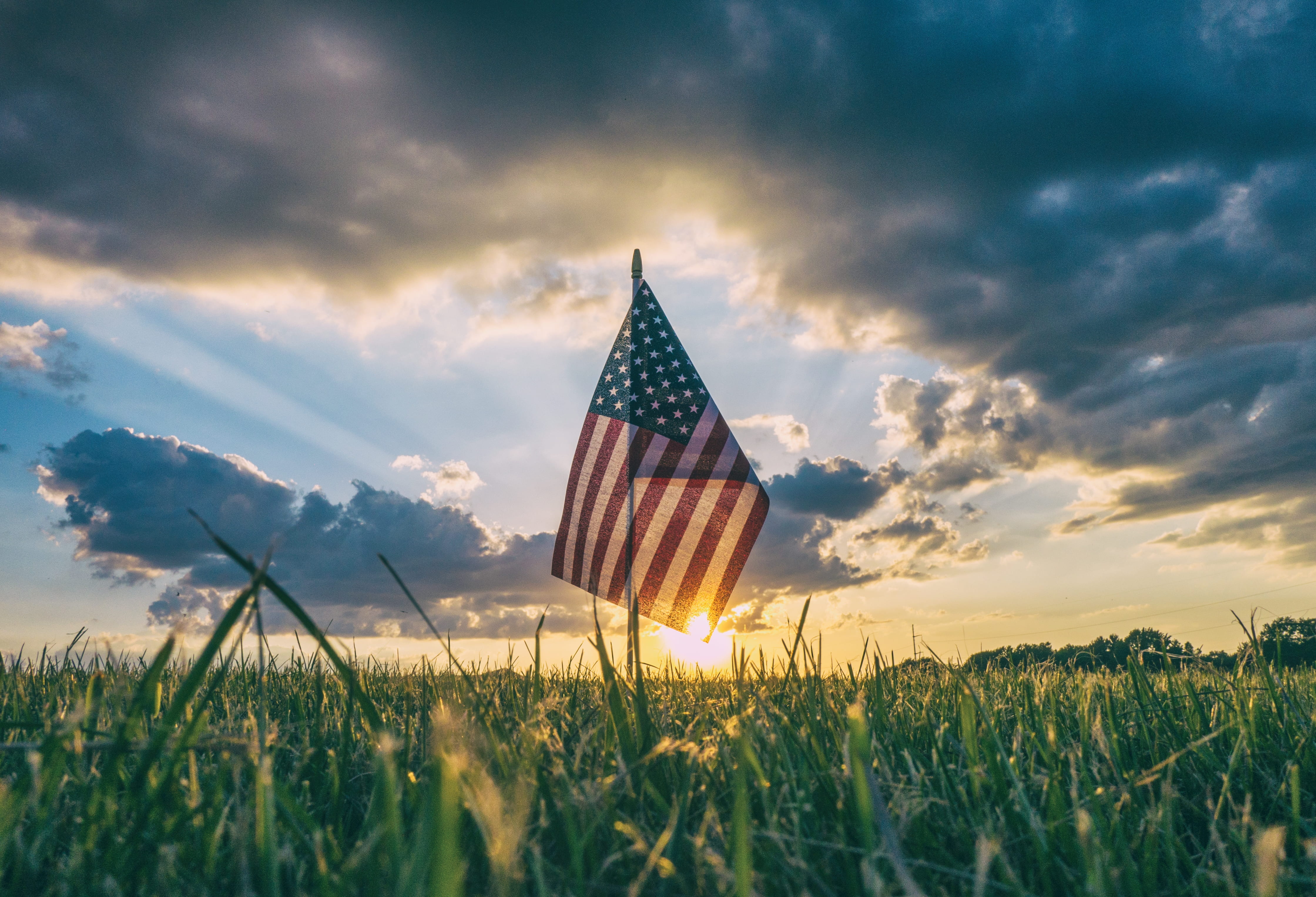 plant, america, flag, sunlight, beauty in nature, grass, nature, cloud, rural Scene, growth, uSA, sky, 4K, states, tranquility, environment, American flag, HD Wallpaper
