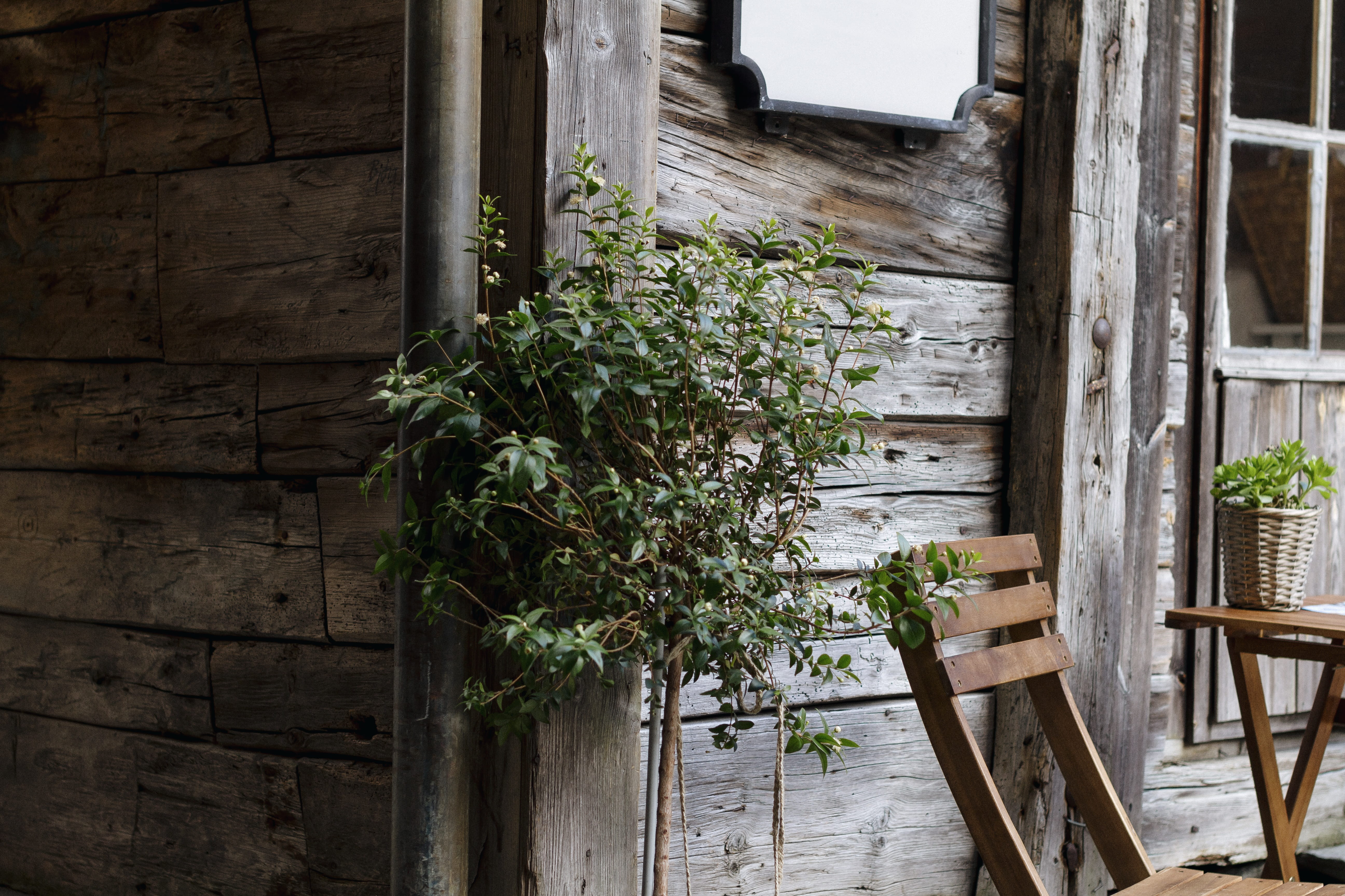 outdoors, day, wall - building feature, wood, plant, chair, window, plant part, potted plant, door, leaf, house, wooden, 5K, building, green color, architecture, HD Wallpaper
