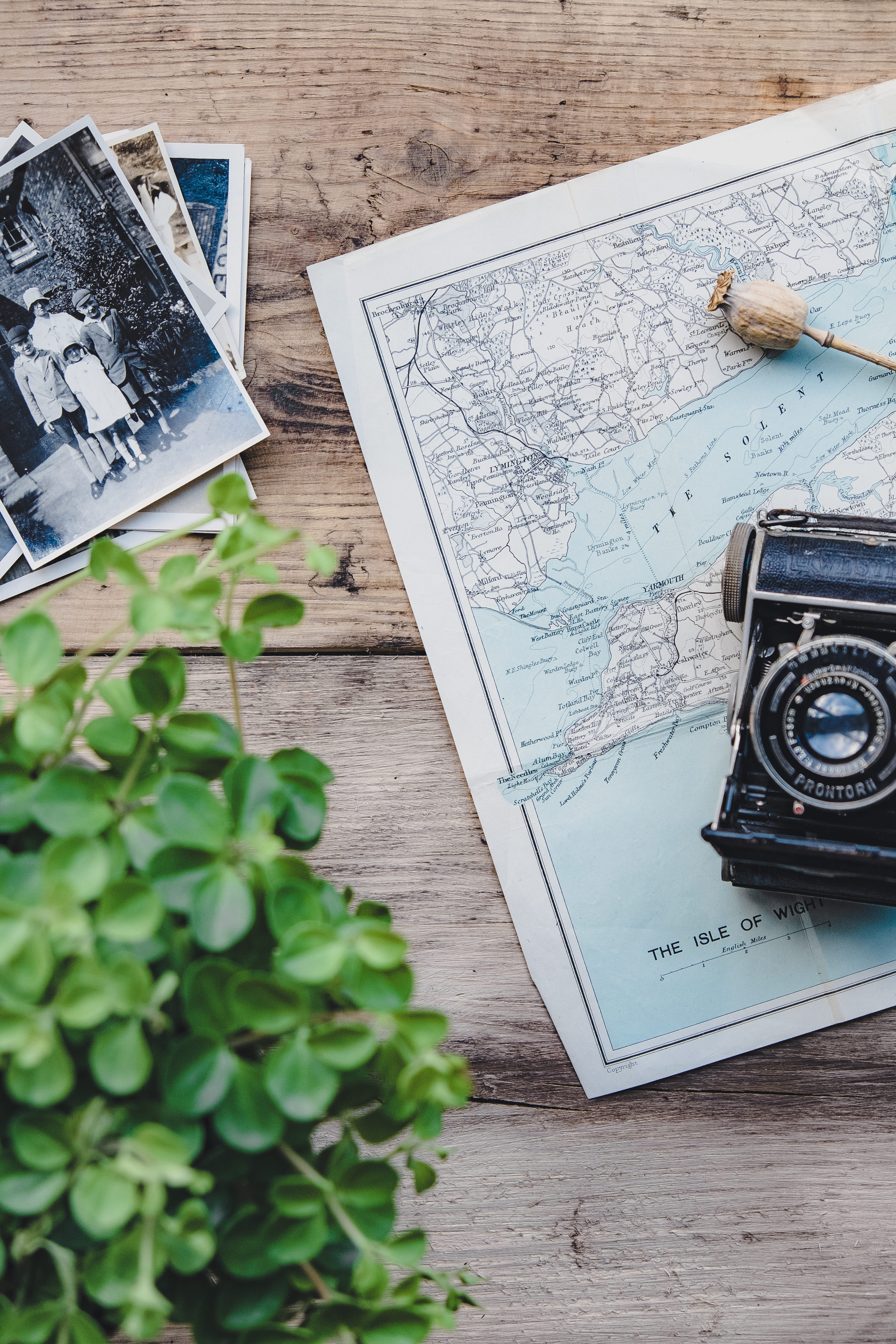 tlr, technology, communication, camera - photographic equipment, plant, analog, closeup, high angle view, old picture, pen, wood - material, publication, Phone HD Wallpaper