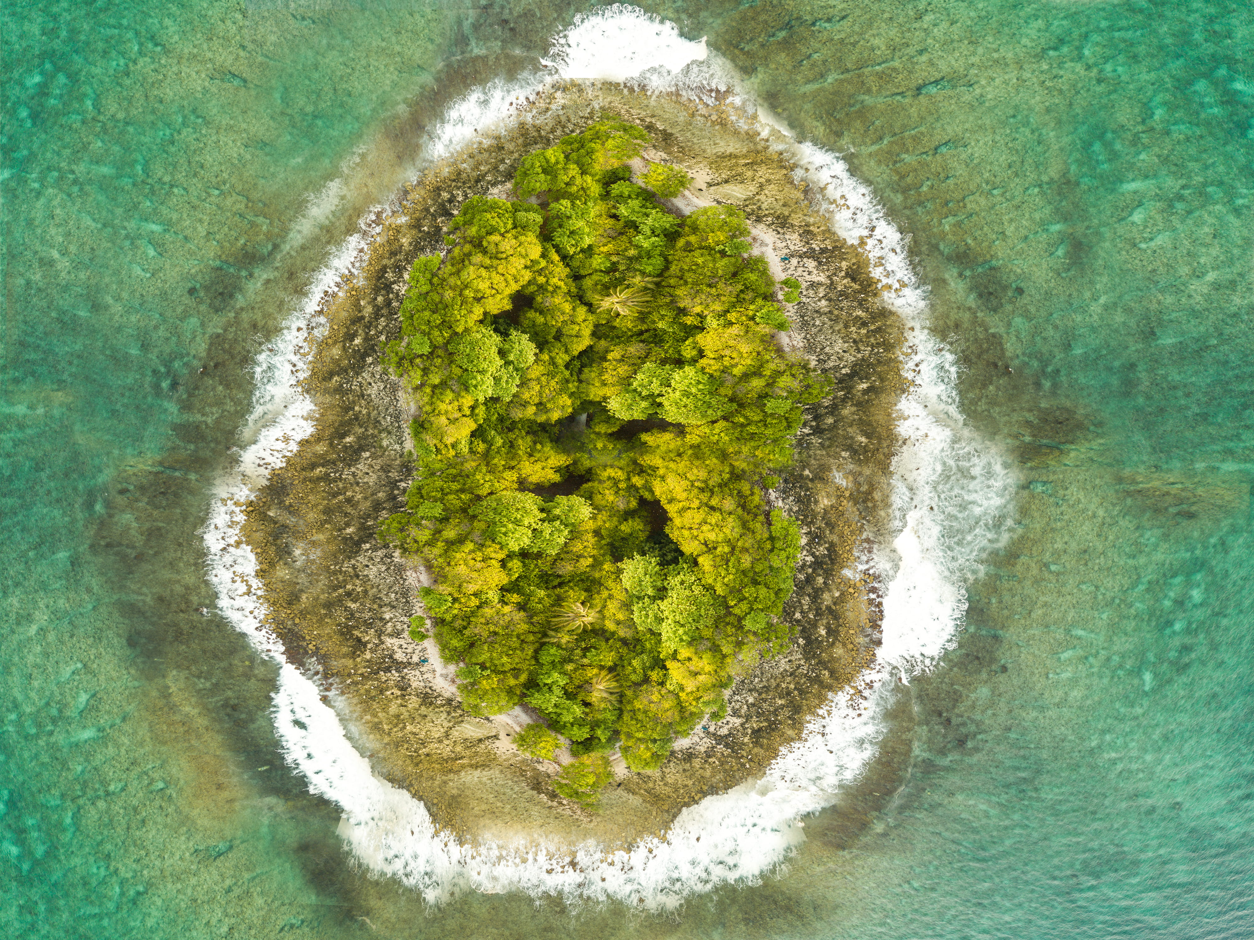 reef, nature, corelisland, corel, green color, sea, day, directly above, water, beauty in nature, tree, scenics - nature, sport, beautifulmaldives, beach, HD Wallpaper