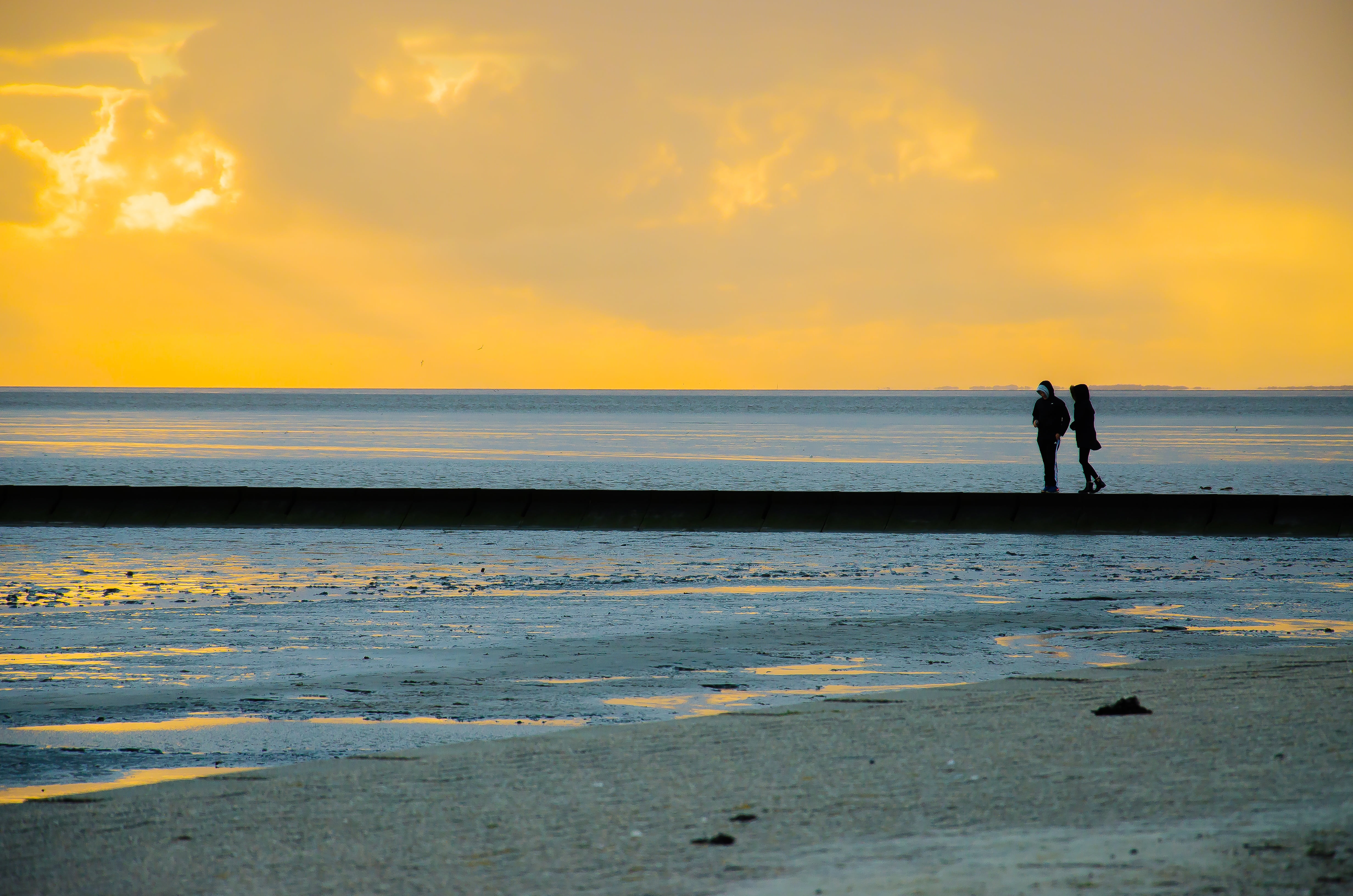 pair, recovery, doubles, evening, couple - relationship, nature, idyll, horizon over water, landscape, coast, baltic sea, silhouette, nature conservation, HD Wallpaper