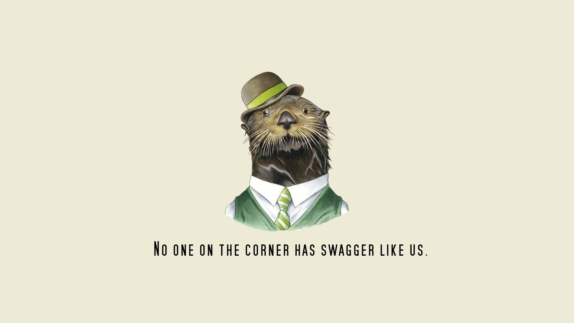 one animal, humor, animal themes, copy space, minimalism, hat, brown, cat, nature, representation, studio shot, front view, digital art, 1080P, western script, HD Wallpaper