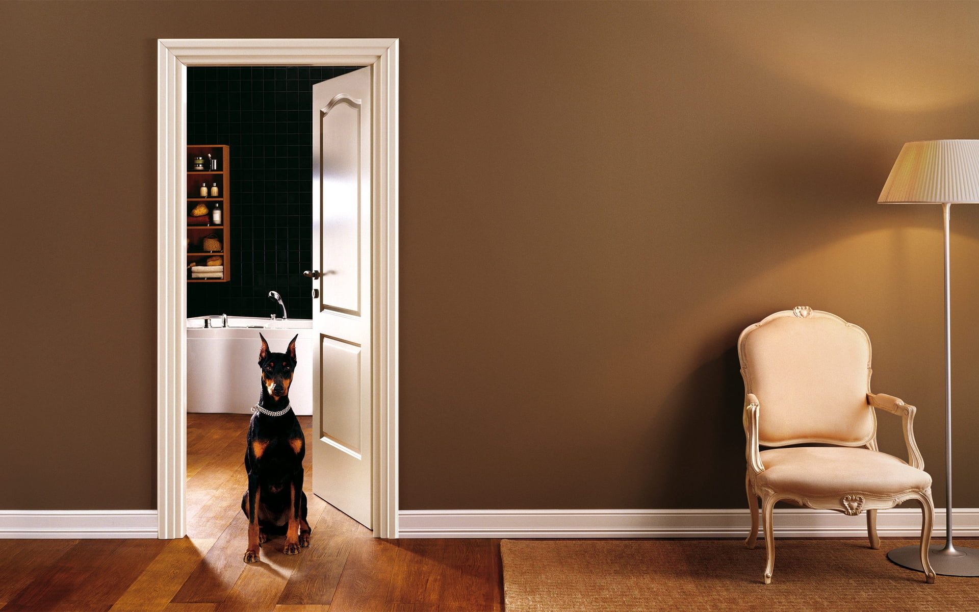 design, table, building, wall - Building Feature, no People, apartment, modern, luxury, entrance, room, entrance hall, electric Lamp, elegance, tan, dog, HD Wallpaper