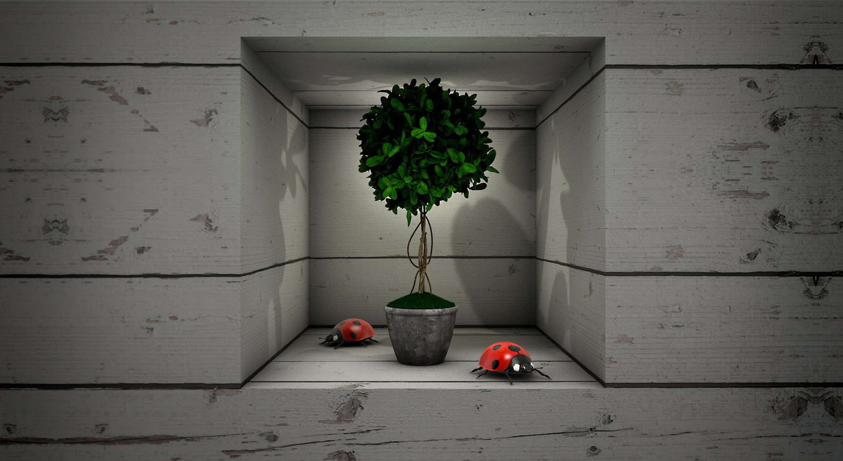 gardening, building, small world, niche, plant, building exterior, built structure, day, flower pot, wall - building feature, hanging, green color, wood - material, HD Wallpaper