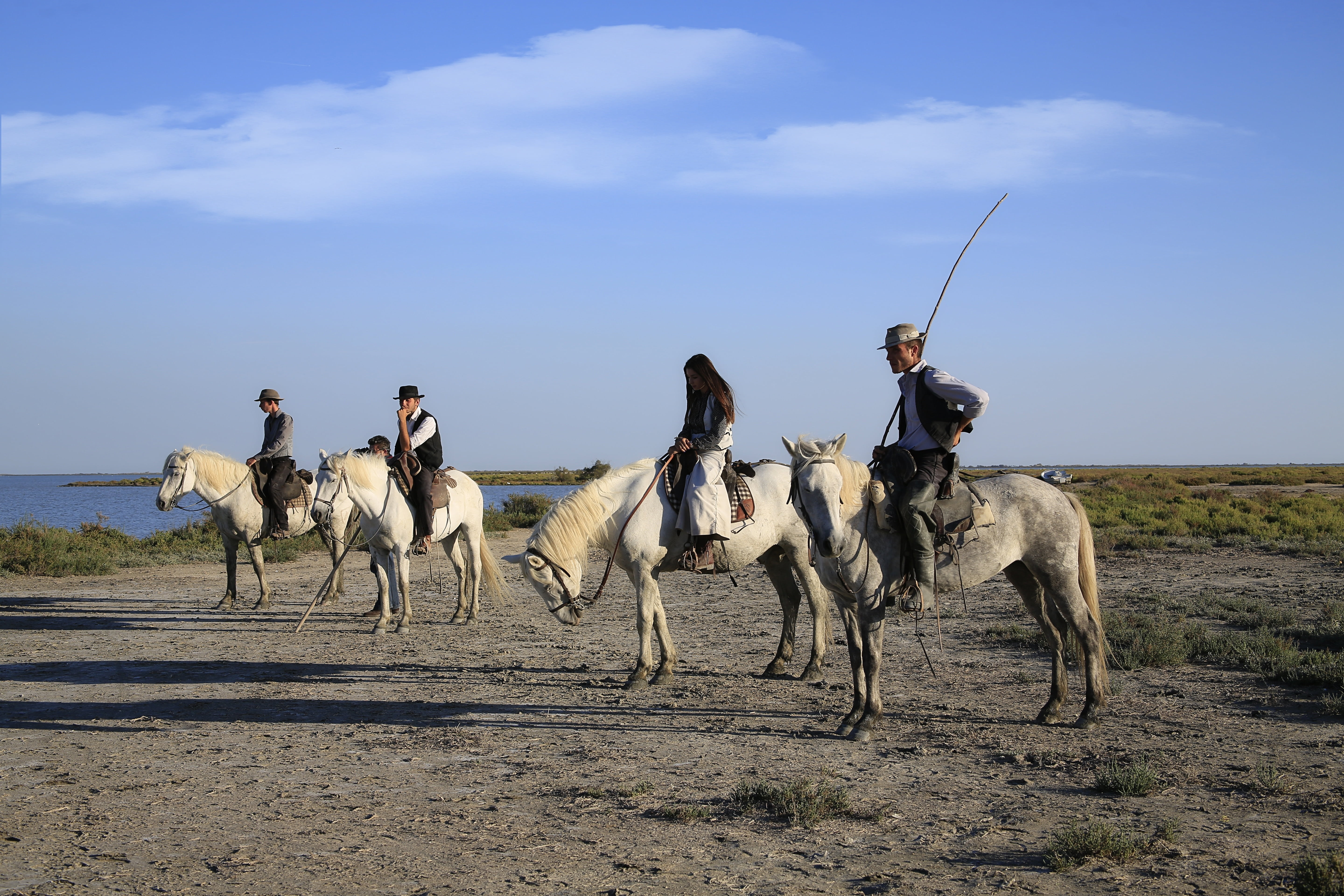 day, pets, gardian, animal, riding, cloud - sky, domestic, 5K, sky, ranch, caliper, mammal, landscape, camel, animal wildlife, horse, jumper, activity, HD Wallpaper