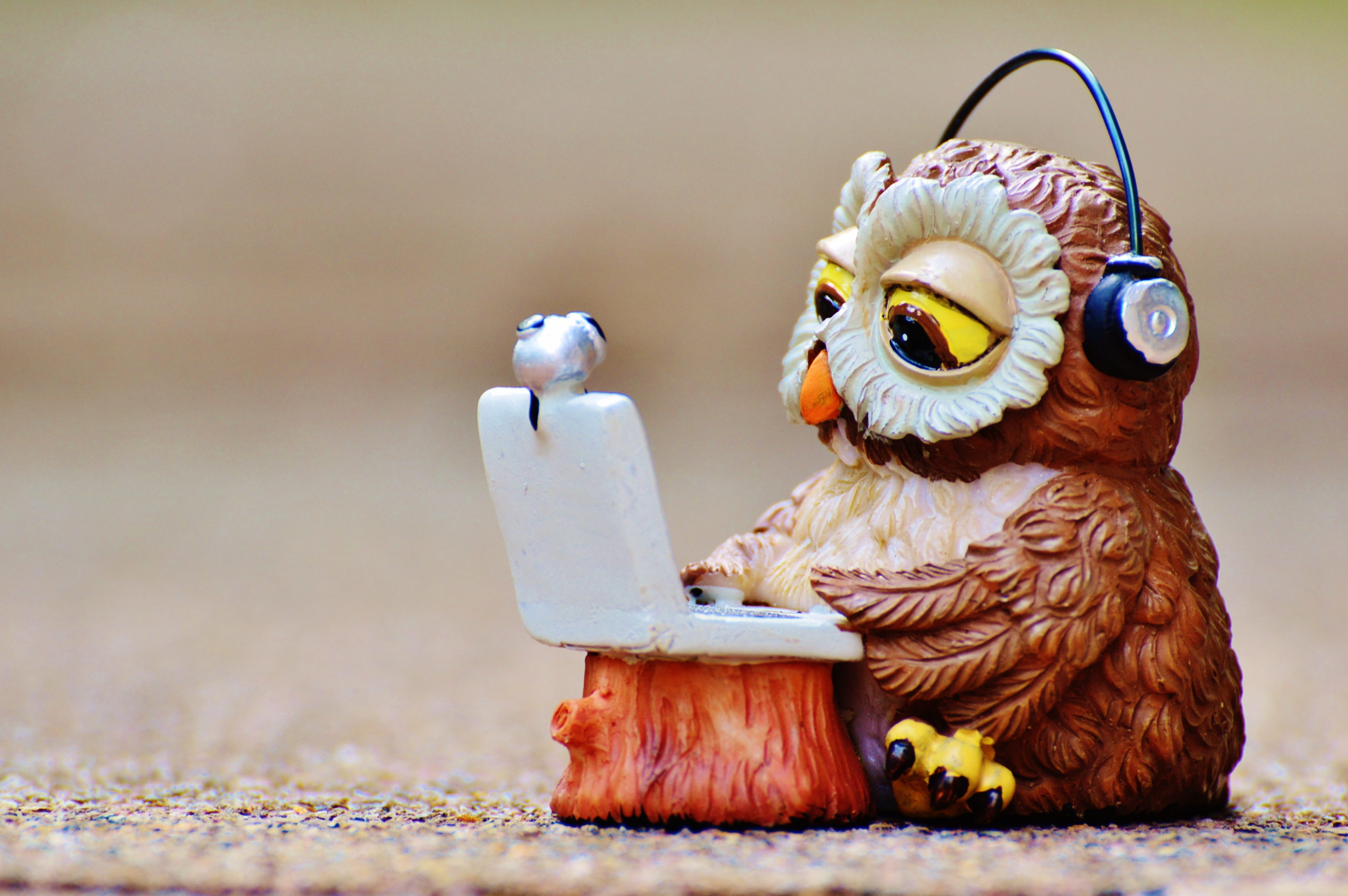 art and craft, domestic animals, computer, close-up, technical device, animal wildlife, headphones, cute, laptop, young animal, figure, toy, brown, equipment, HD Wallpaper