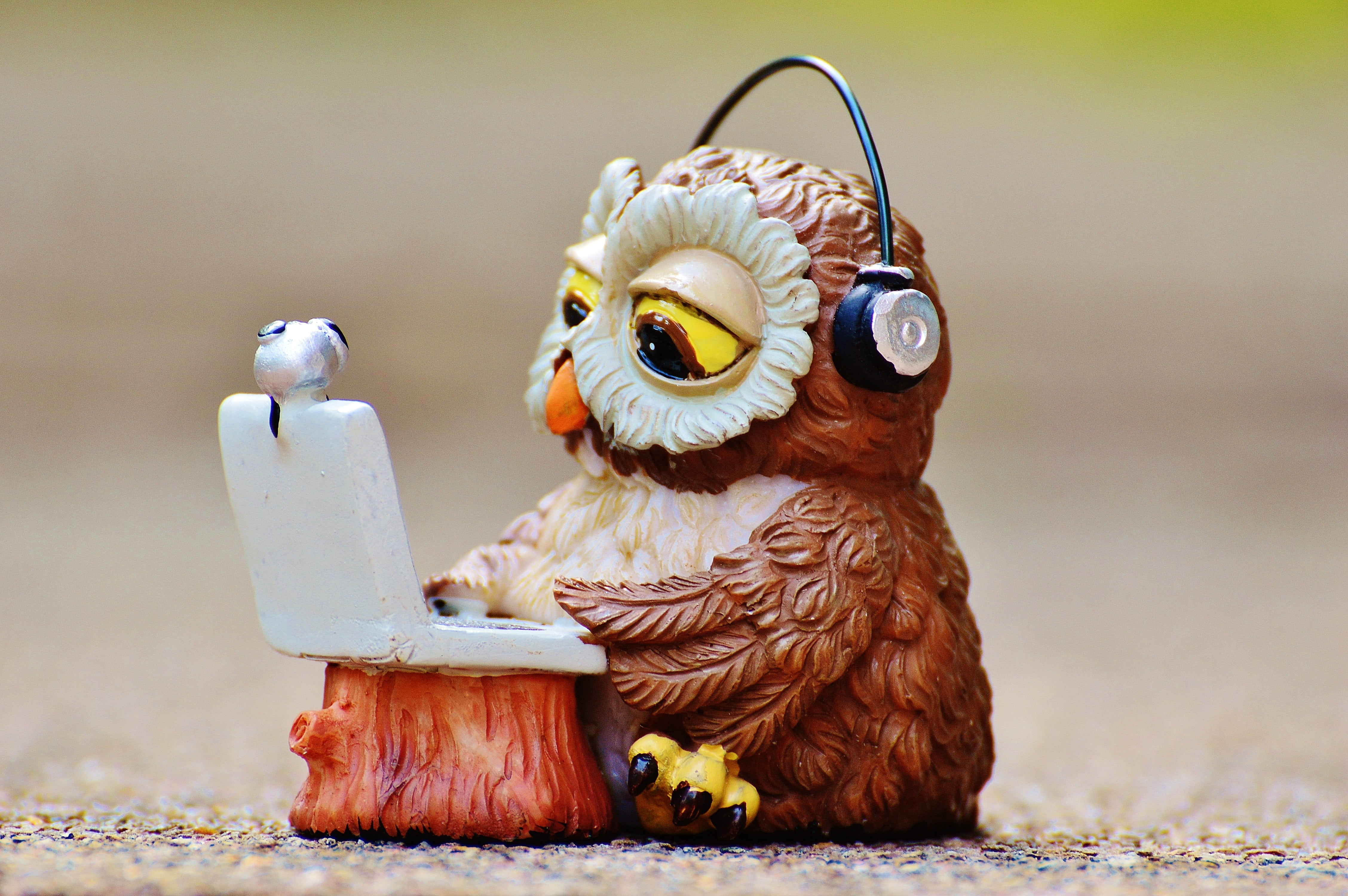 4K, innocence, computer, representation, device, headphones, funny, closeup, photography, cute, toy, laptop, technical device, wearing, animal, mammal, HD Wallpaper