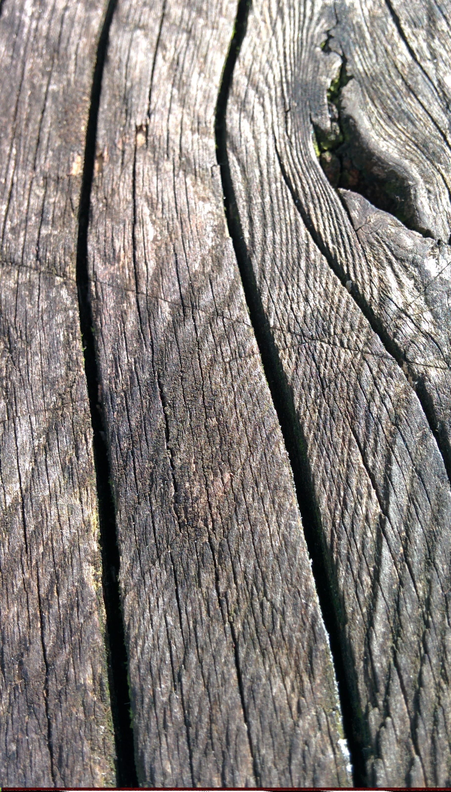 old, abstract, textured, wall, vintage, close-up, 2K, log, tree, wooden, detail, textured effect, board, wood - material, day, outdoors, no people, natural pattern, Phone HD Wallpaper
