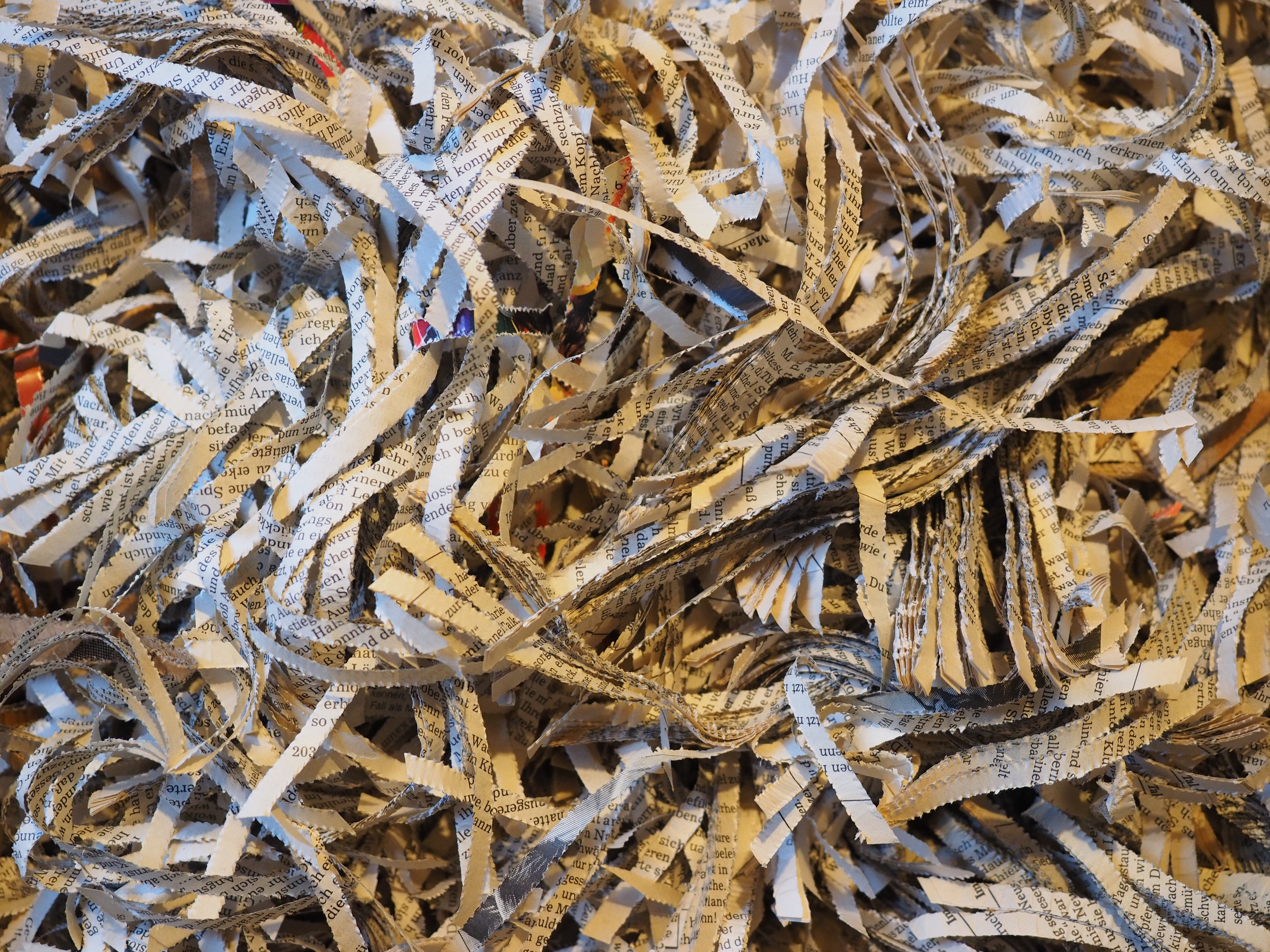 close-up, tree, shredding, destroyed, shredder, old, environmentally-friendly paper, paper strip, papierschnippsel, documents, backgrounds, torn, papers, HD Wallpaper