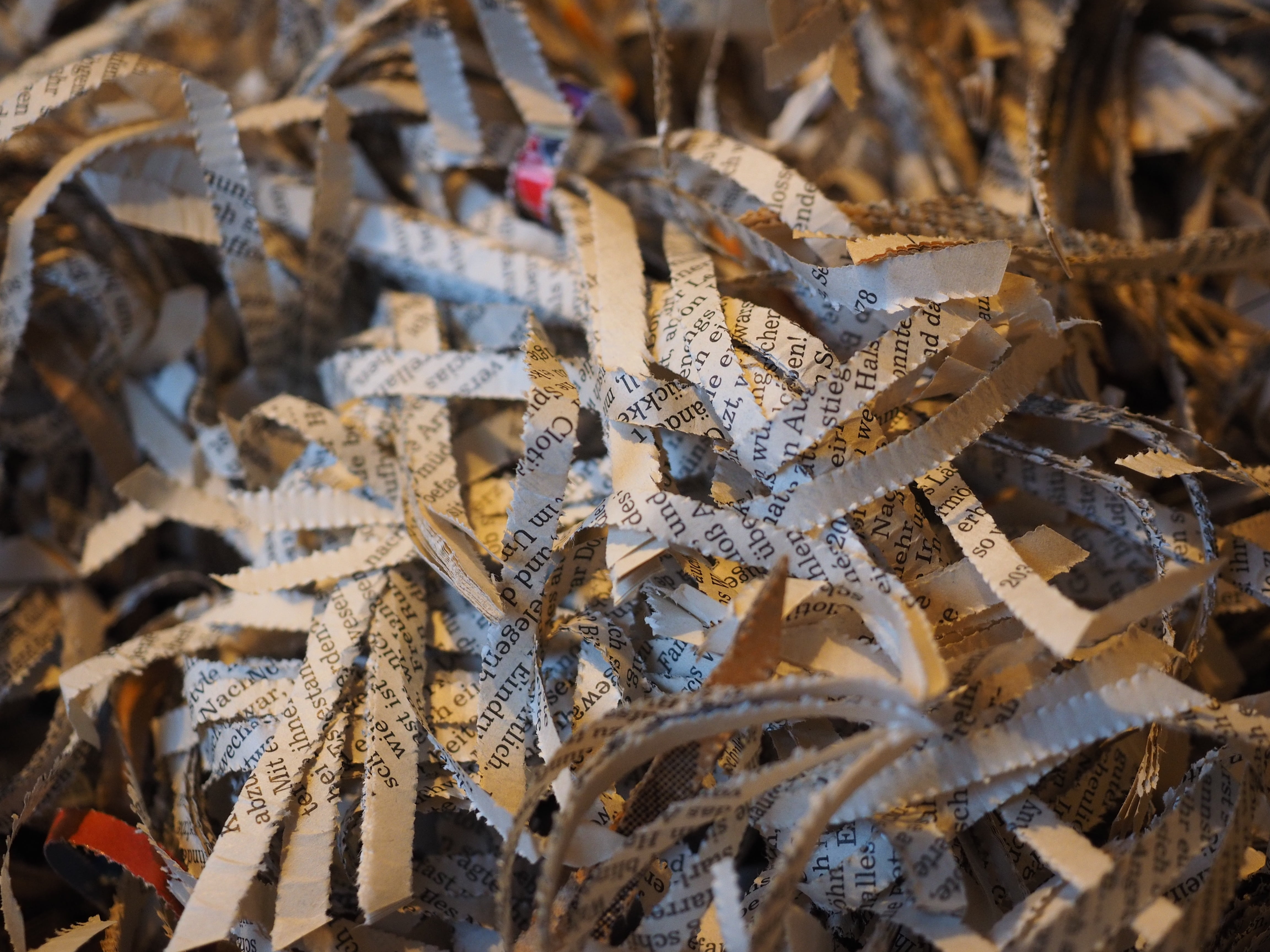 documents, leaves, shredded, dry, flakes, beauty in nature, paper industry, confidential, sunlight, growth, leaf, land, recycling, snippets, disposal, focus on foreground, HD Wallpaper