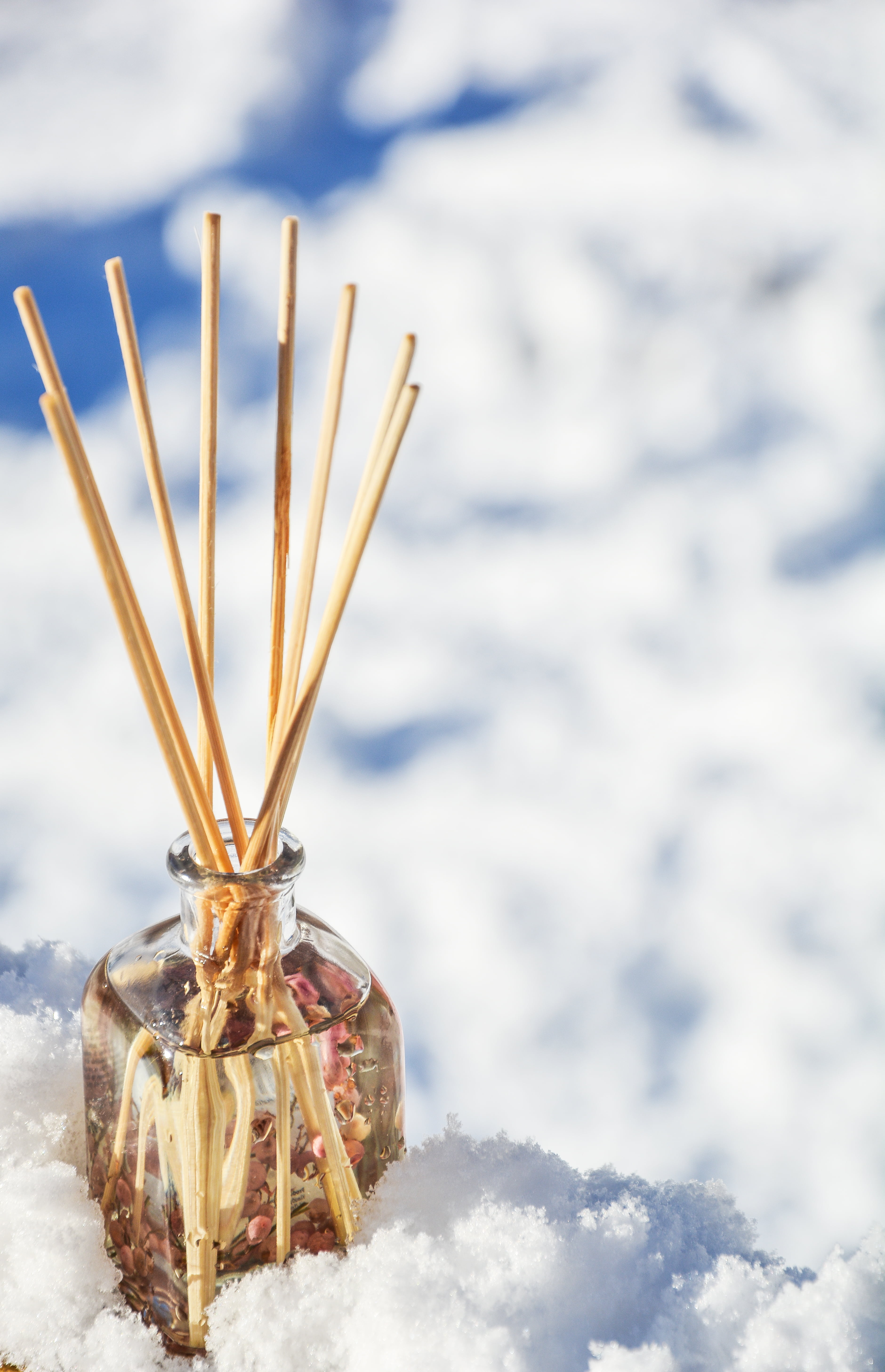 day, white color, cold temperature, tranquility, still life, spirituality, nature, aroma, beauty in nature, blur, winter, sticks, aromatic, glass, snow, Phone HD Wallpaper