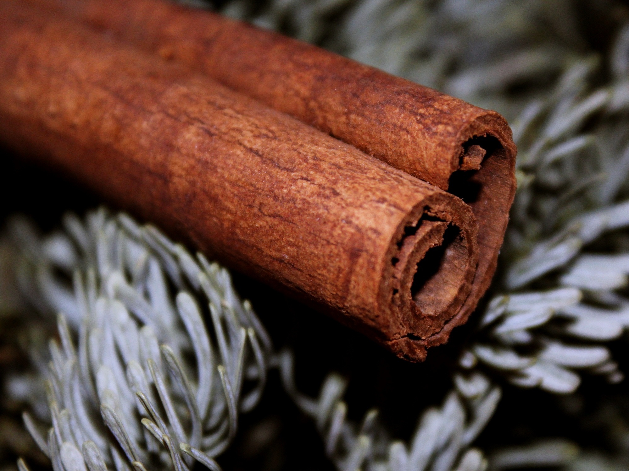 close-up, brown, no people, roll, green, day, christmas, fir, metal, focus on foreground, sheet, textured, selective focus, abandoned, cinnamon stick, nail, HD Wallpaper