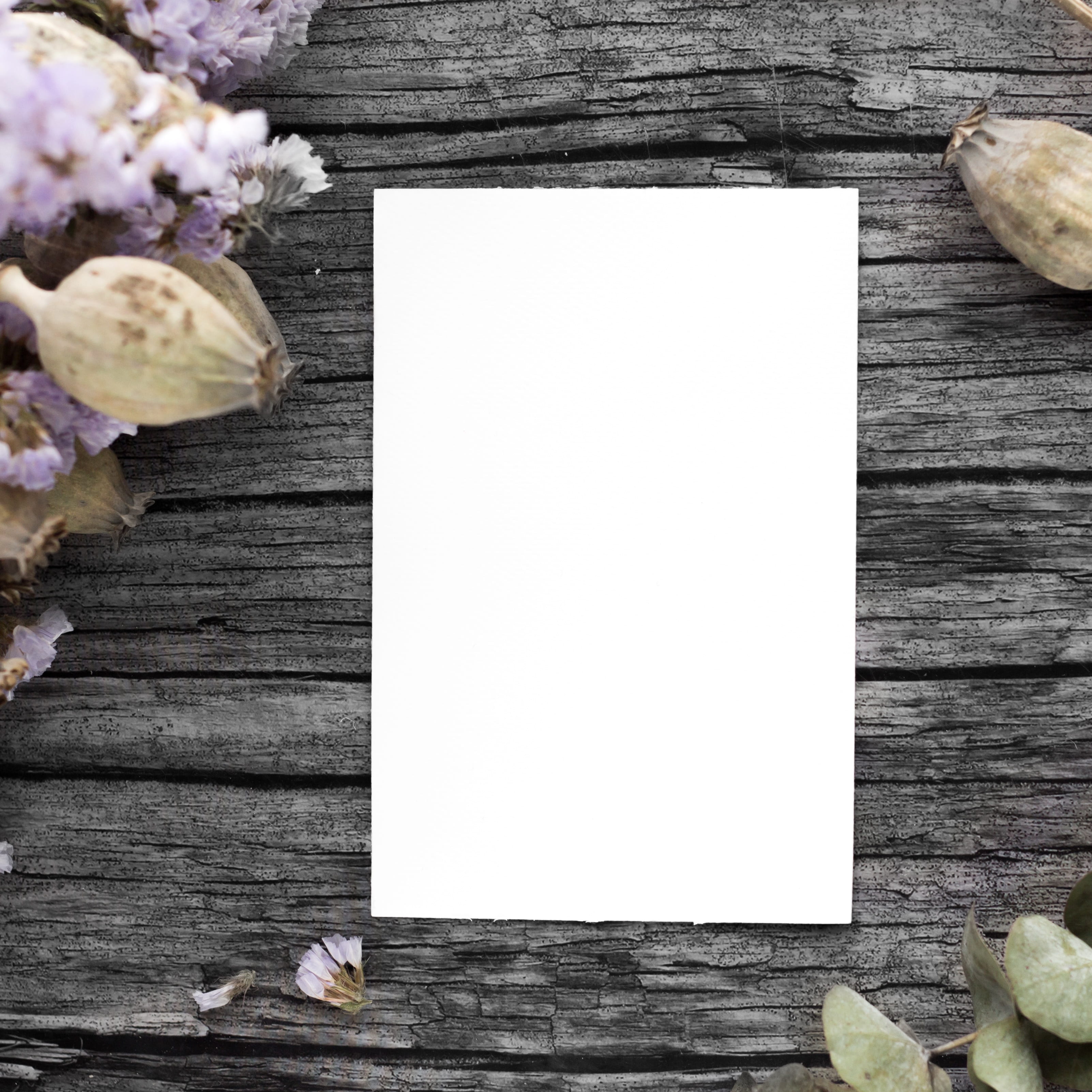 flower head, white, congratulation, invitation, high angle view, sheet, poppy flowers, vulnerability, closeup, flower, gray, old, flowering plant, tree, Phone HD Wallpaper
