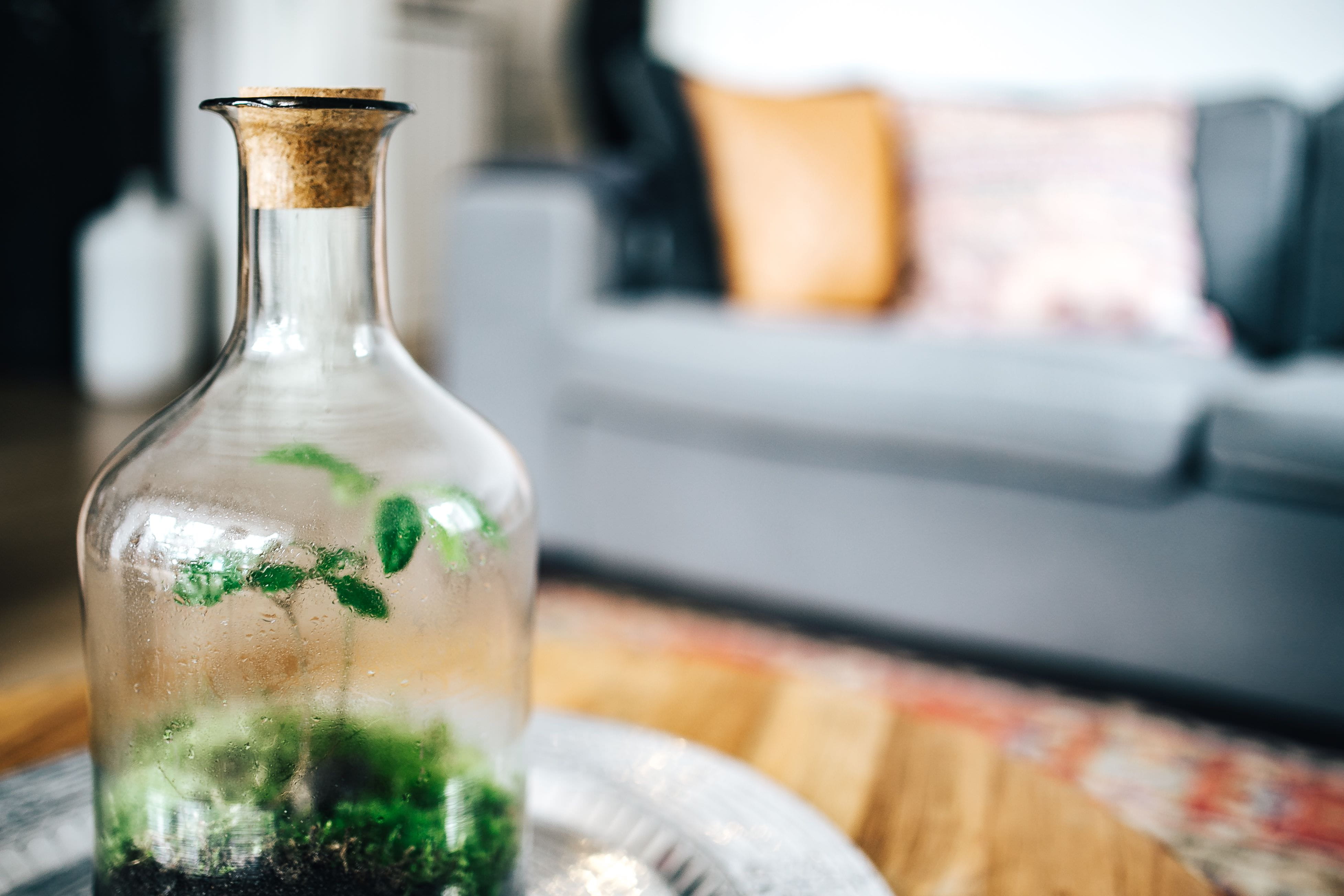 selective focus, close-up, household equipment, food and drink, table, jar, tiny, luxury, little, glass - material, drinking glass, drink, indoors, diy, HD Wallpaper