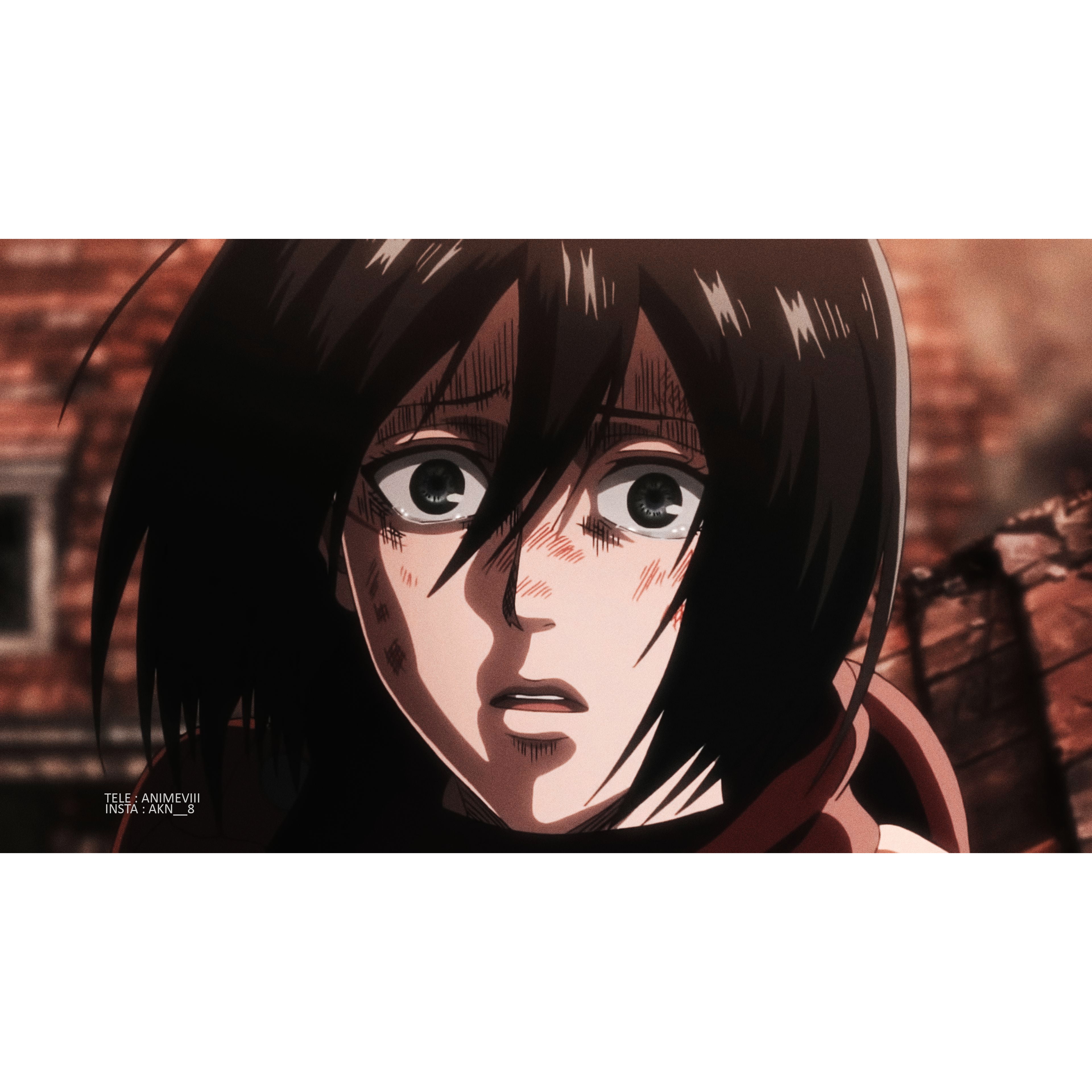 anime girls, Telegram Channel ANIMEVIII, Mikasa Ackerman, 4K, AKNX7, Shingeki no Kyojin, Phone HD Wallpaper