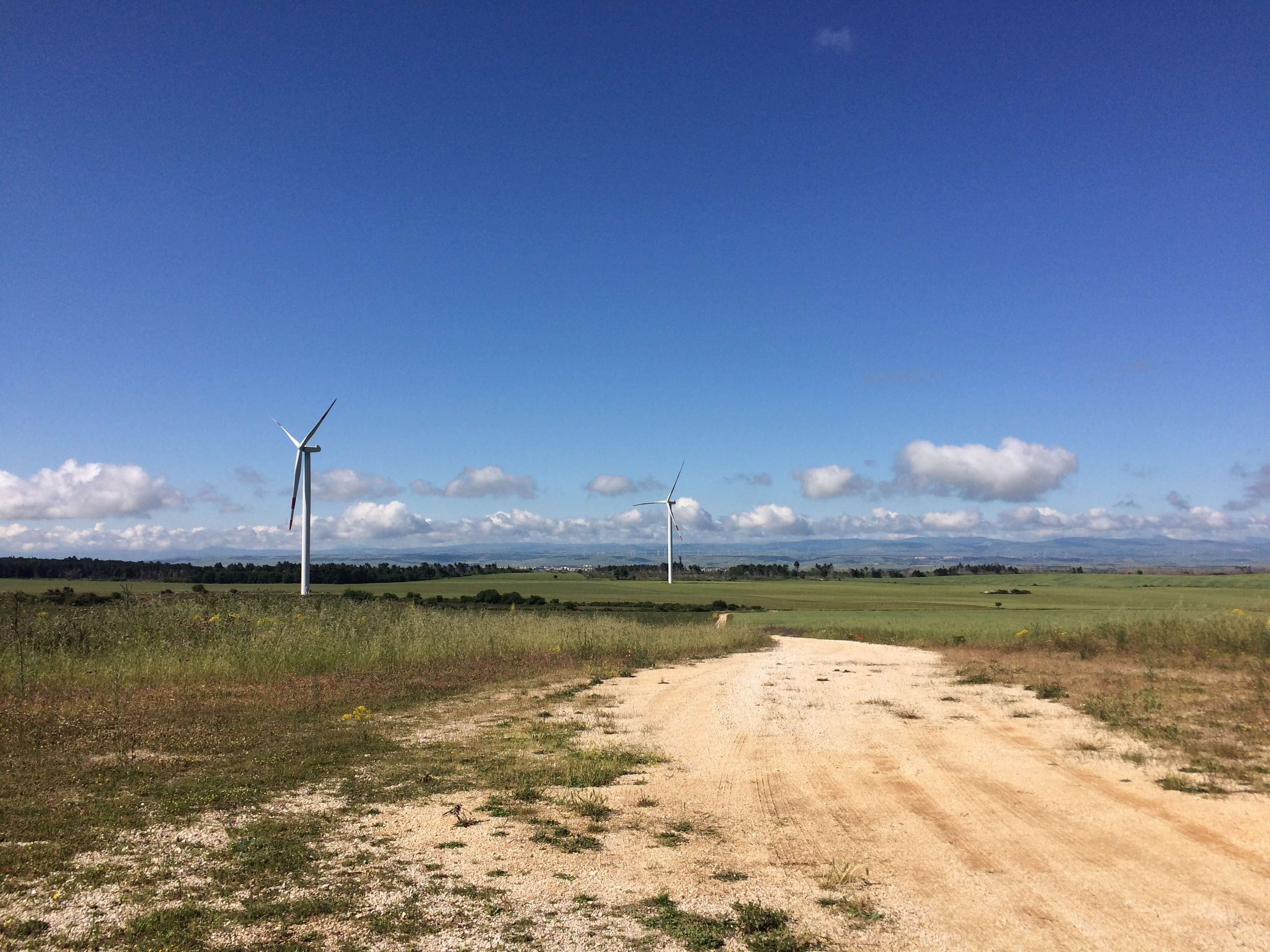 environmental conservation, fuel and power generation, 2K, sky, wind turbine, outdoors, day, wind turbines, eolic, no people, nature, turbine, grass, cloud - sky, HD Wallpaper