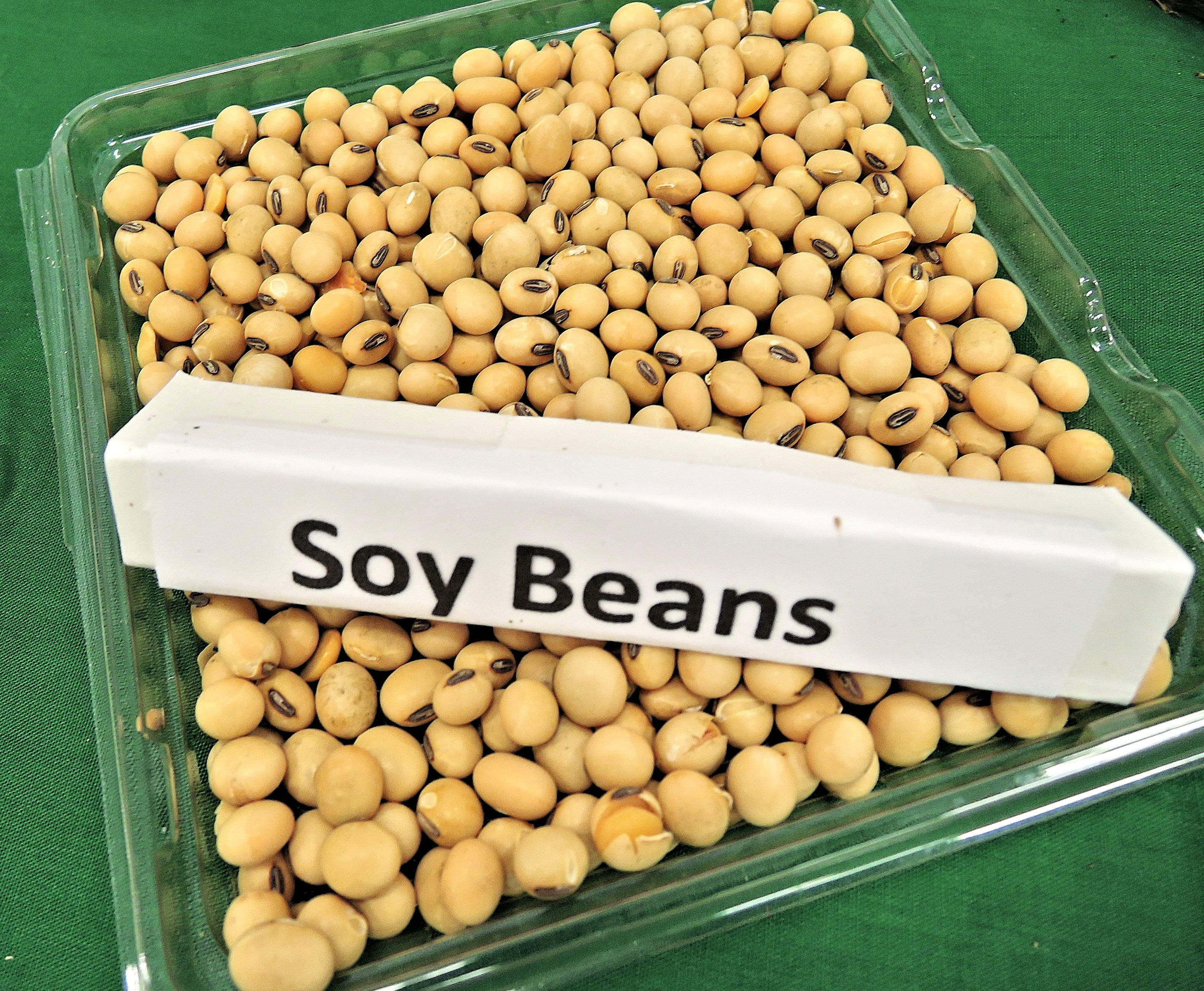 sale, small business, communication, 2K, soy, healthy eating, western script, freshness, beans, for sale, text, bunch, food and drink, abundance, retail, HD Wallpaper