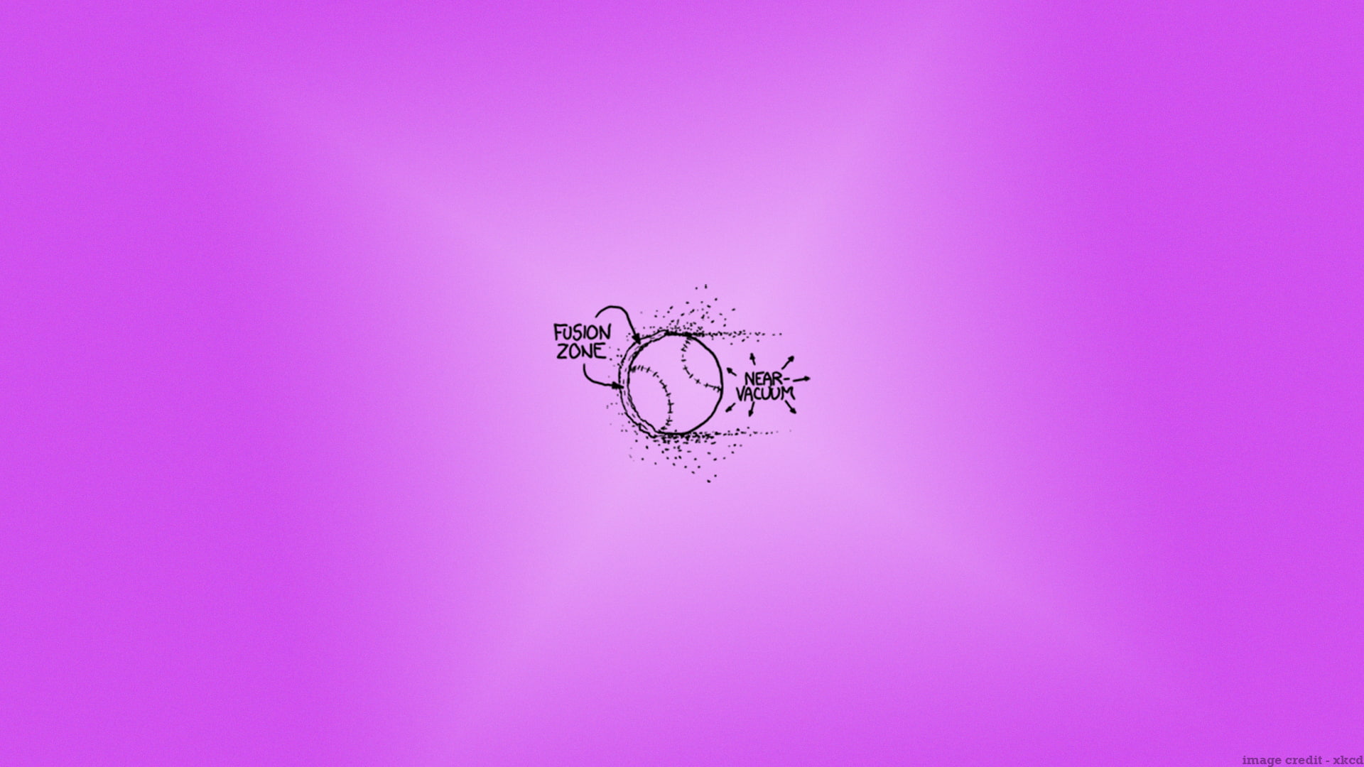 archival, pink color, nature, tranquility, purple, creativity, pink background, indoors, silhouette, studio shot, flowering plant, colored background, beauty in nature, HD Wallpaper