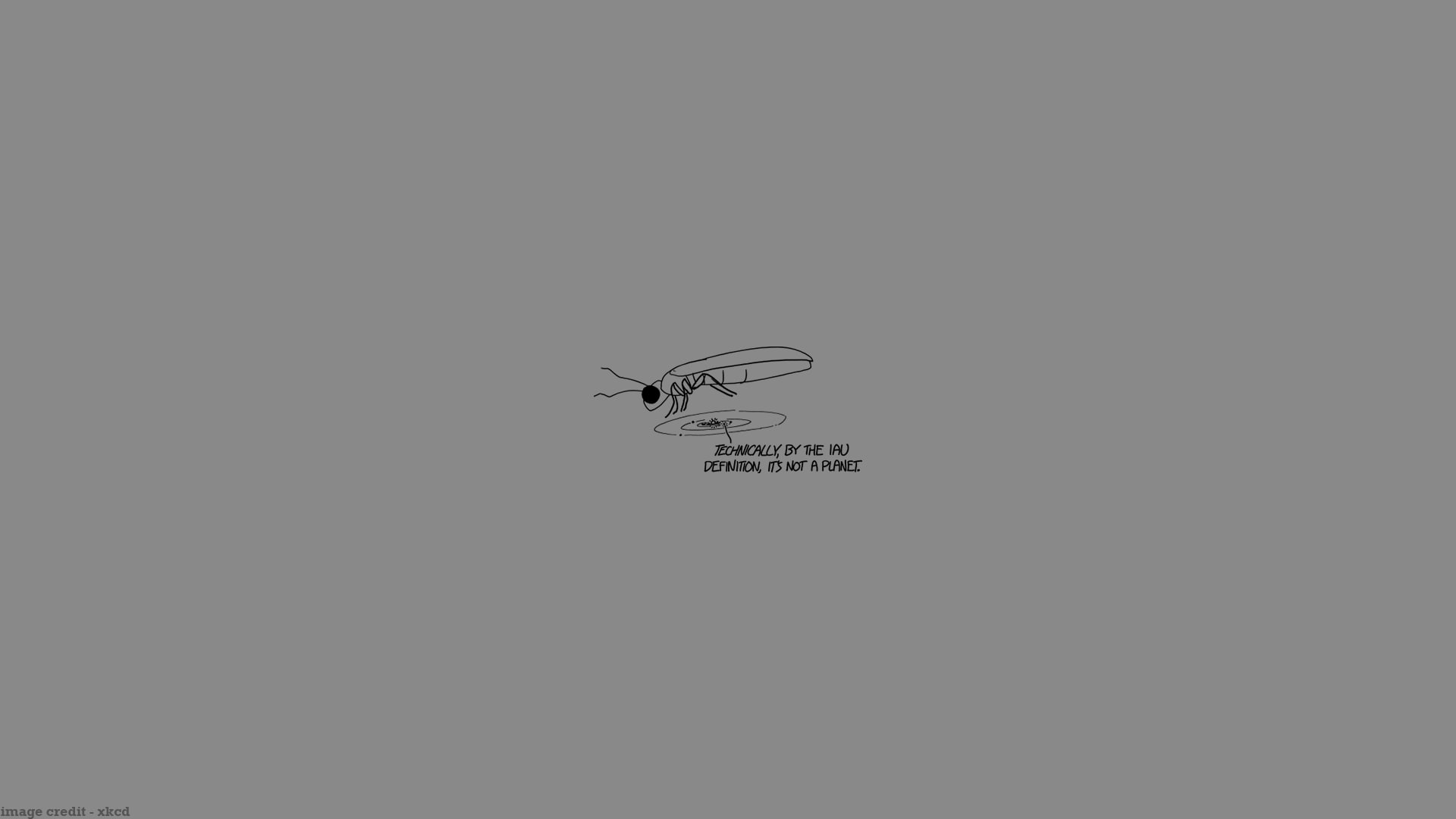 one animal, creativity, indoors, no people, invertebrate, cut out, copy space, animal wing, xkcd s, 1080P, nature, communication, animal themes, fun, studio shot, HD Wallpaper