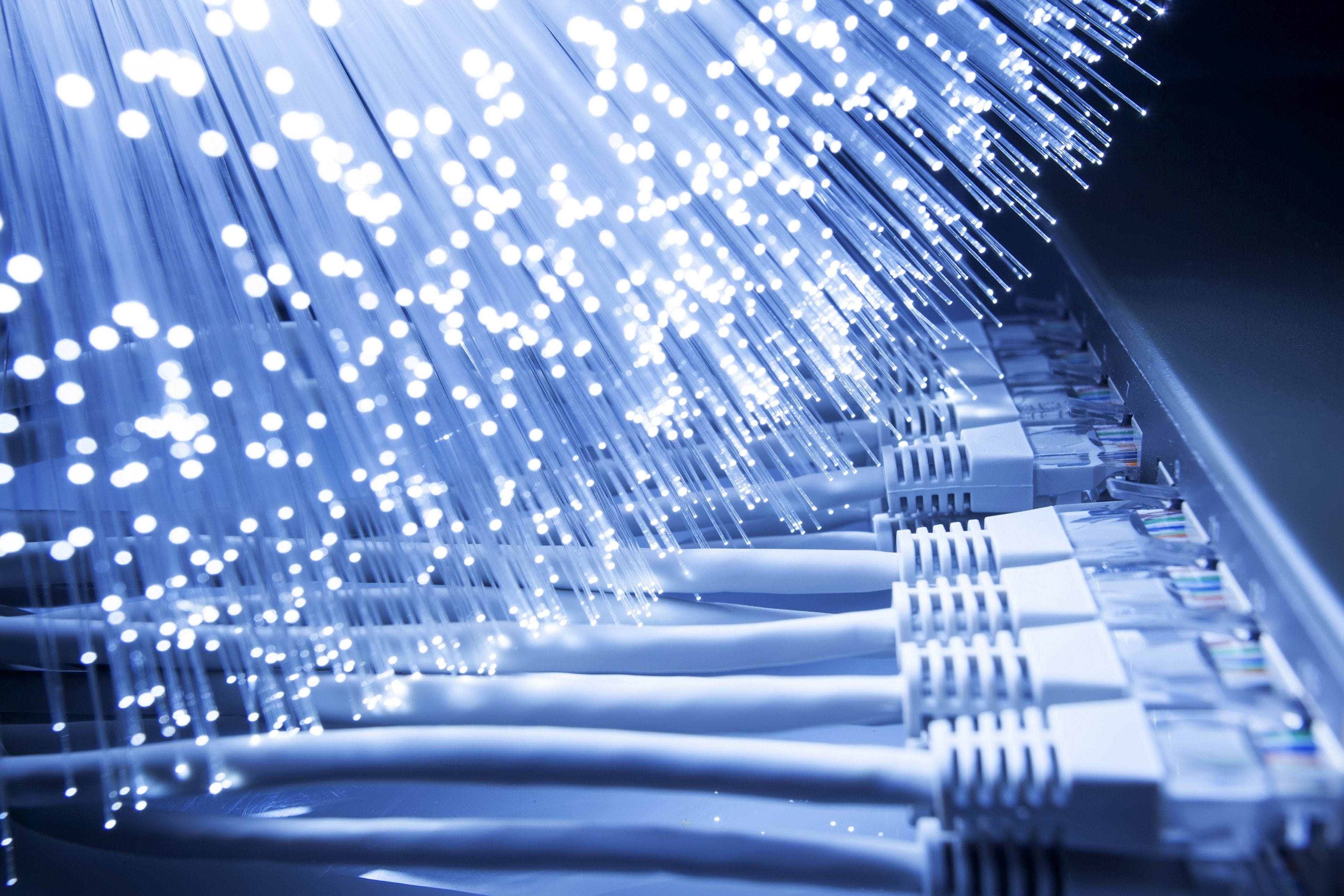 4K, broadband internet internet optic fiber lan rj45 network, HD Wallpaper