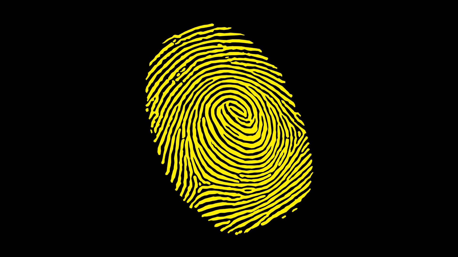 close-up, 1080P, natural pattern, yellow, fern, copy space, beauty in nature, plant, black background, animal themes, no people, fingerprints, indoors, HD Wallpaper