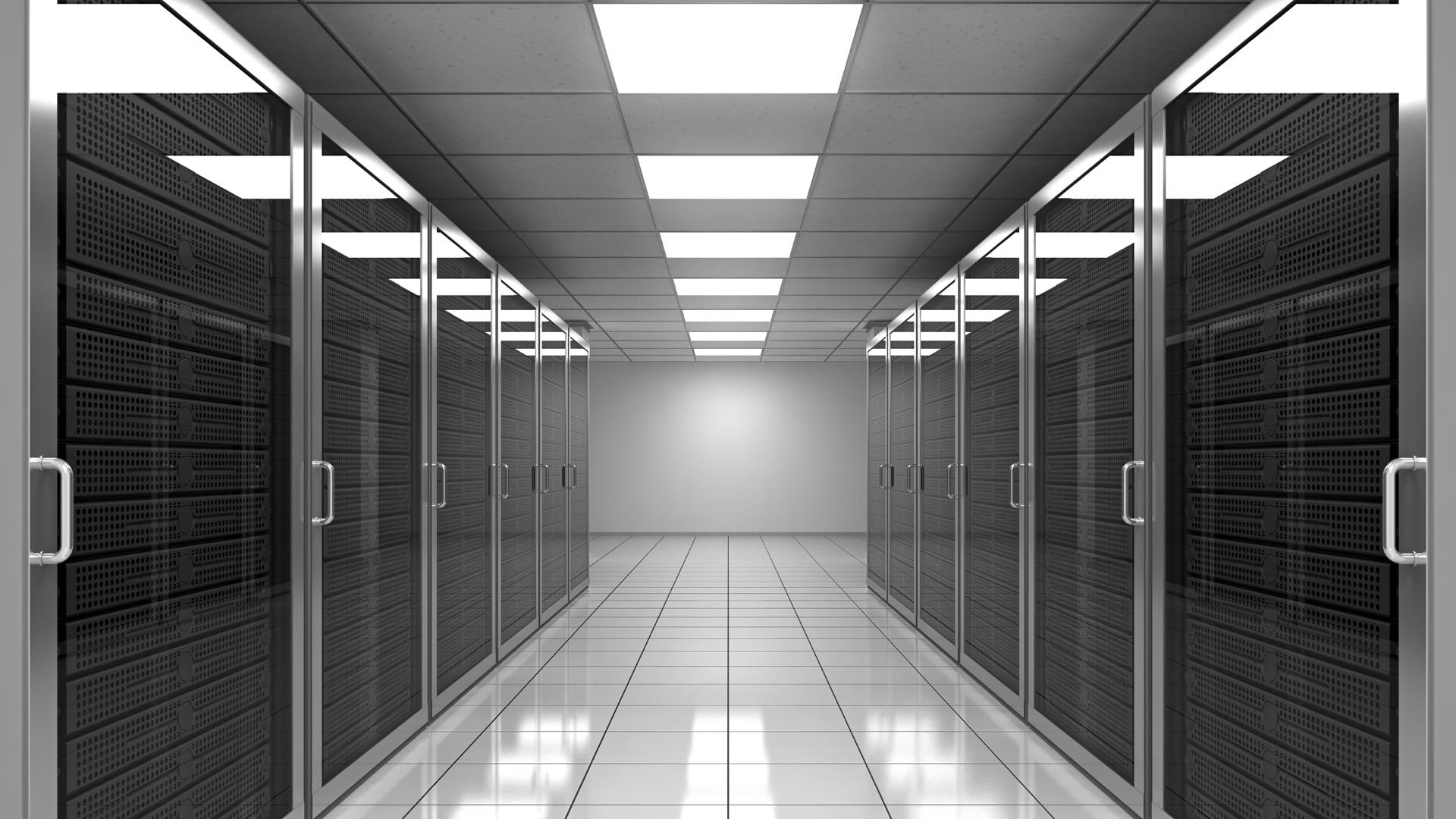 black and white, animals, absence, data, room, 1080P, cabinets, cool, doors, server, HD Wallpaper