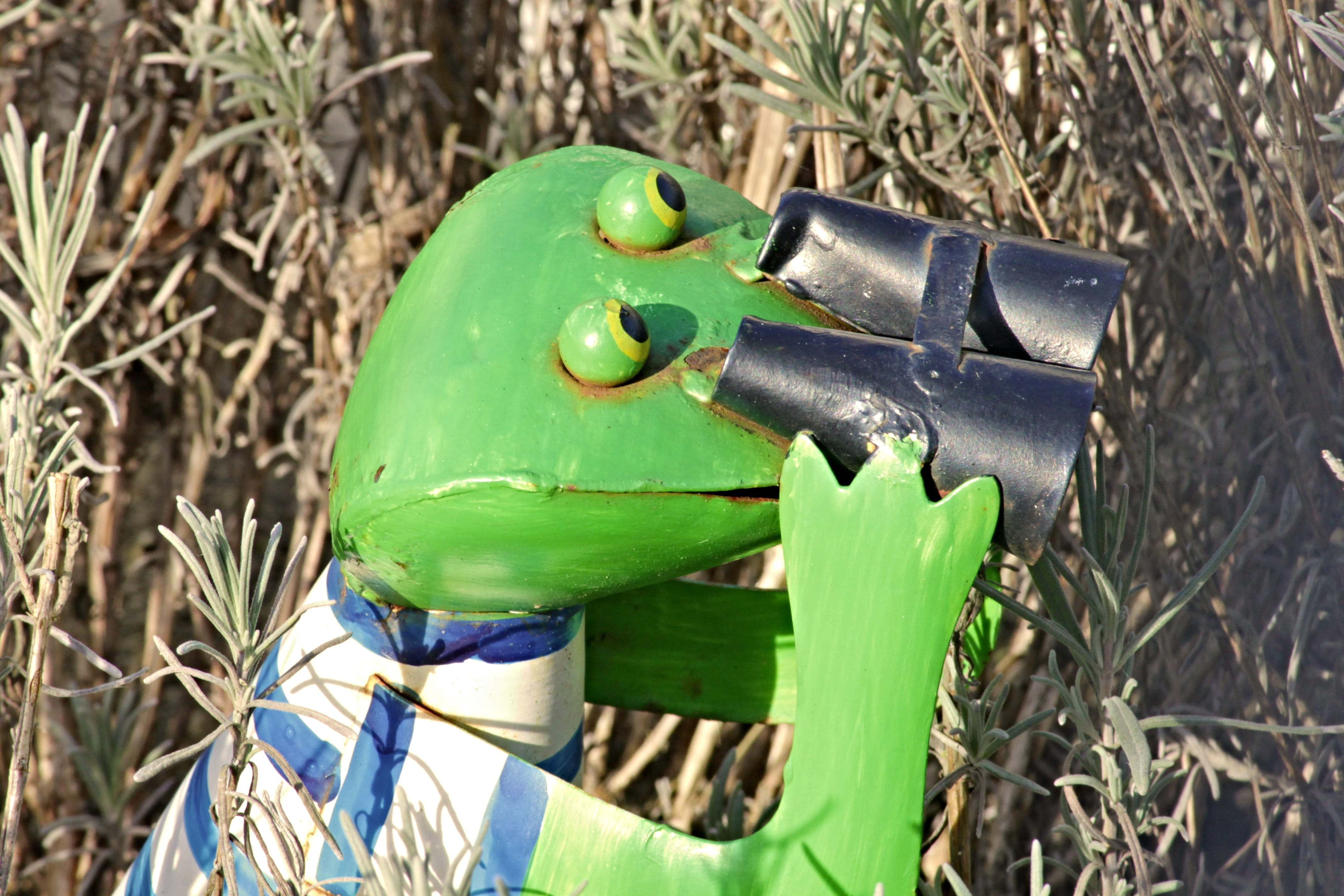 plant part, binoculars, green, outlook, monitoring, optics, outdoors, peek, field, sunlight, decoration, plant, leaf, close-up, sheet metal figure, vision, HD Wallpaper