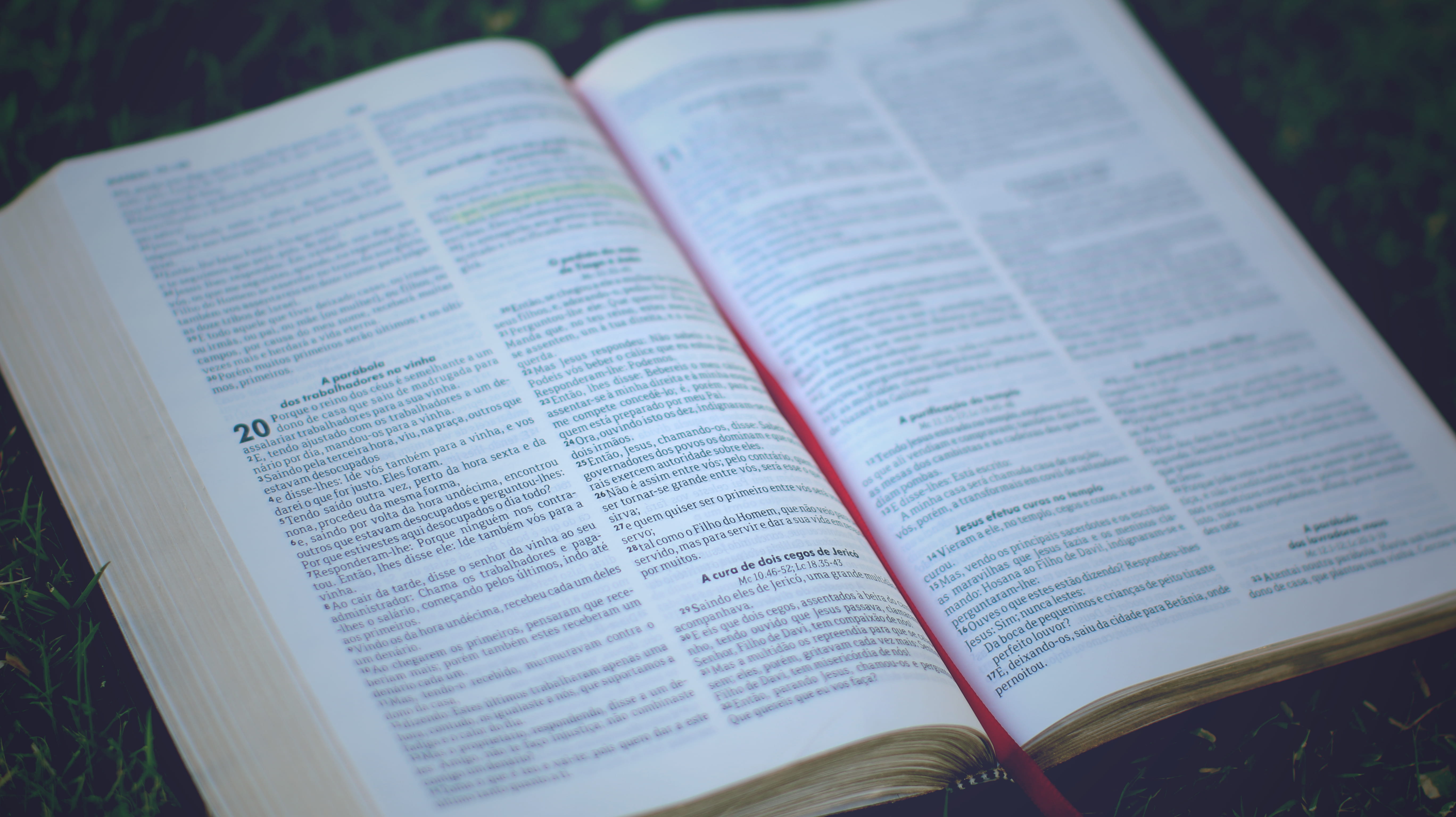 publication, holy, textbook, studying, literature, religion, western script, book bindings, no people, scripture, bible, belief, open, thread, text, book, HD Wallpaper