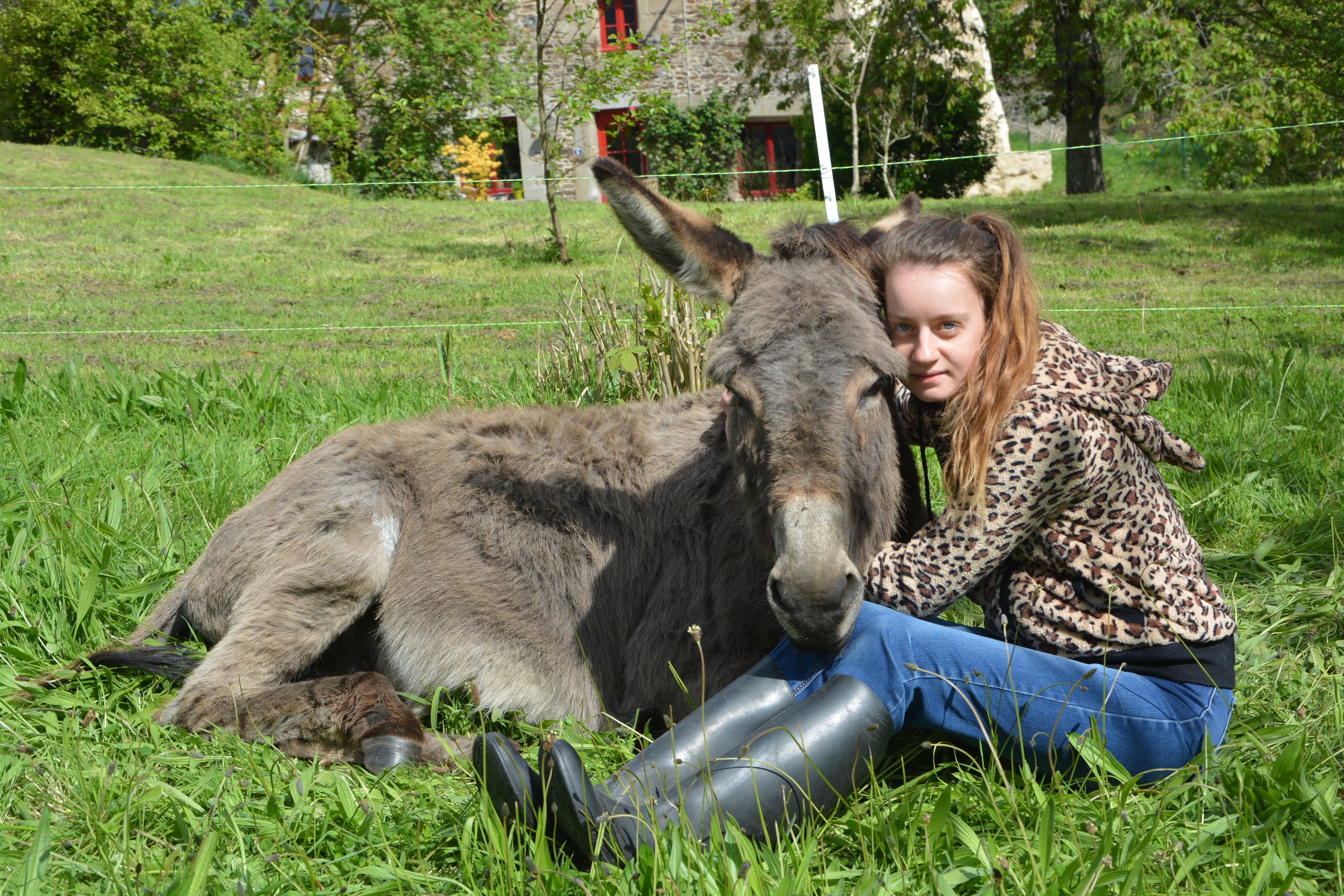 full length, grass, one person, domestic animal, domestic, hug, one animal, field, pets, affection, tenderness affection, nature, land, outdoors, domestic animals, HD Wallpaper