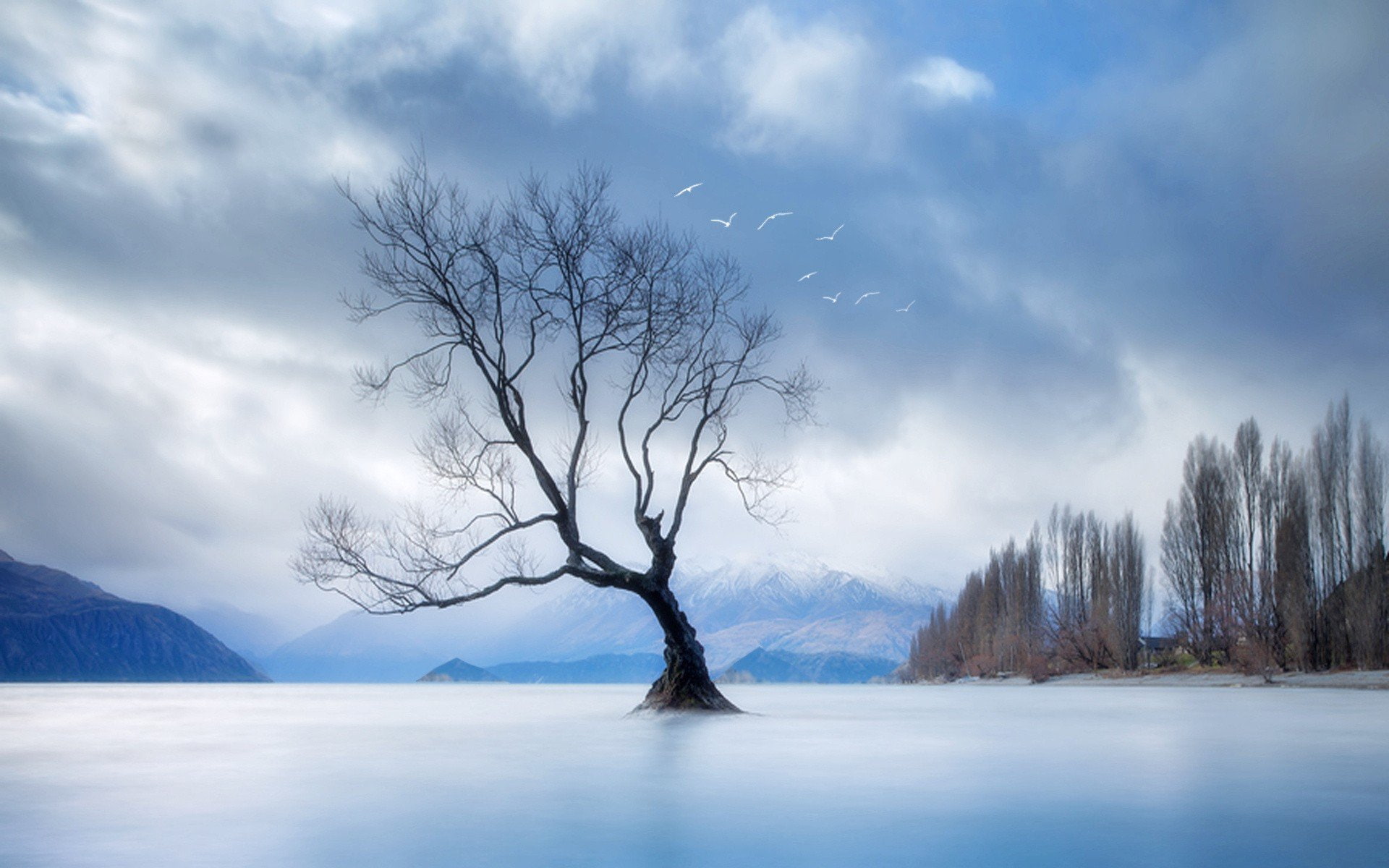 hd, games, 1920x1200 px, x, video, Trees, 1080P, zelda, art, px, HD Wallpaper