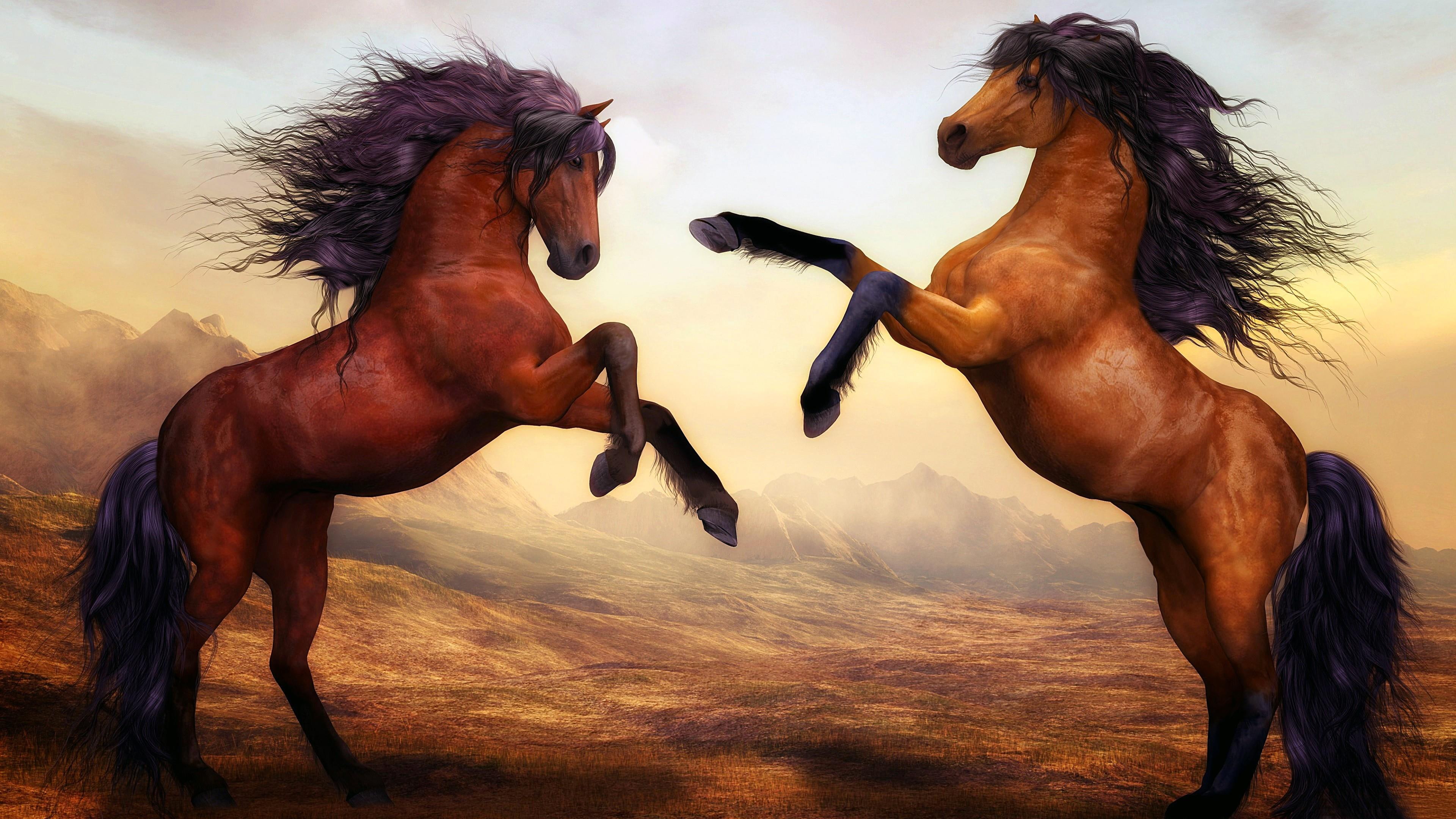 painting, mane, painting art, 4K, horse, horses, fighting, HD Wallpaper