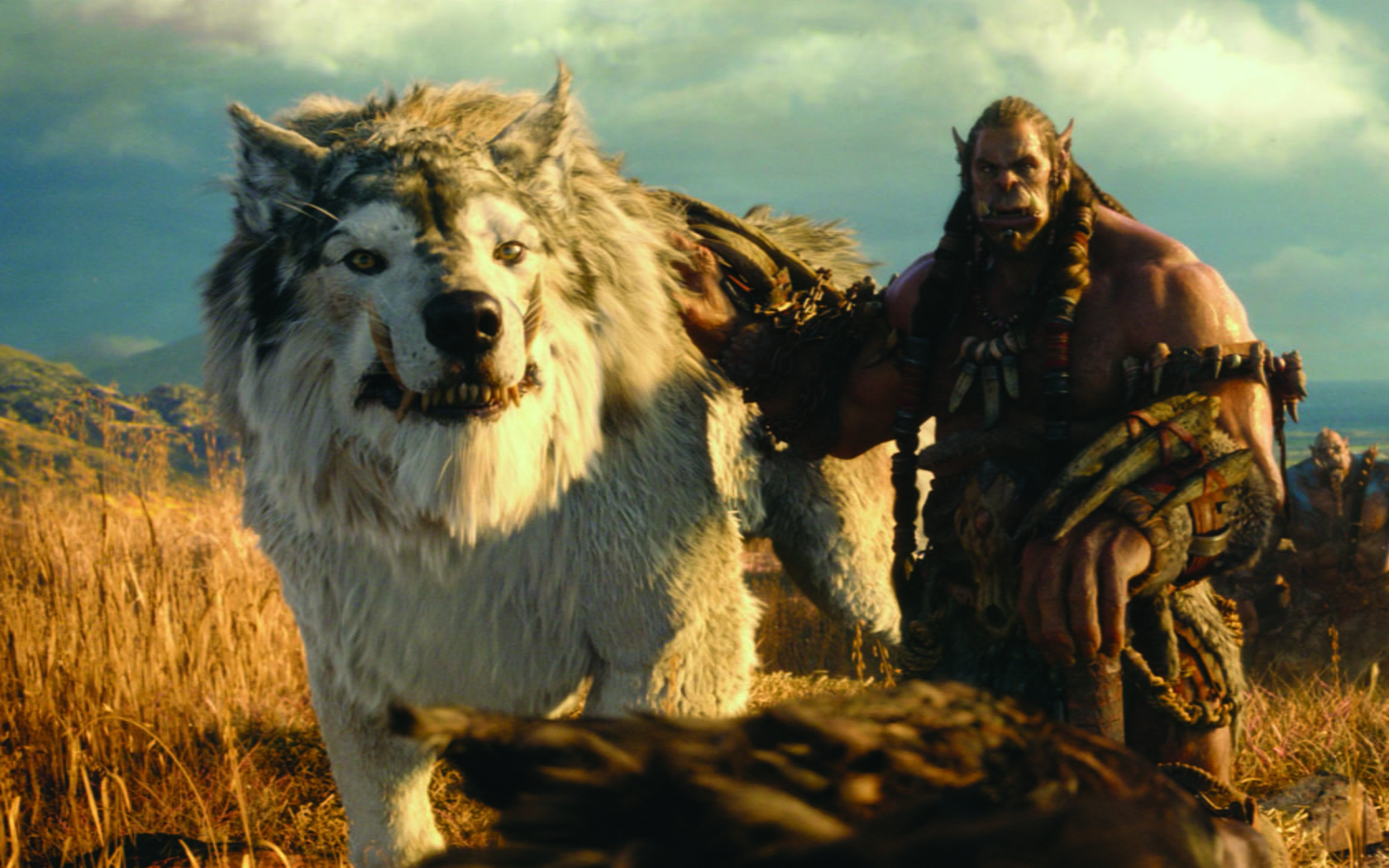 portrait, vertebrate, Hollywood Movies, dog, nature, hollywood, movie, stills, grass, 2016, field, animal themes, one animal, warcraft, beginning, cover, HD Wallpaper