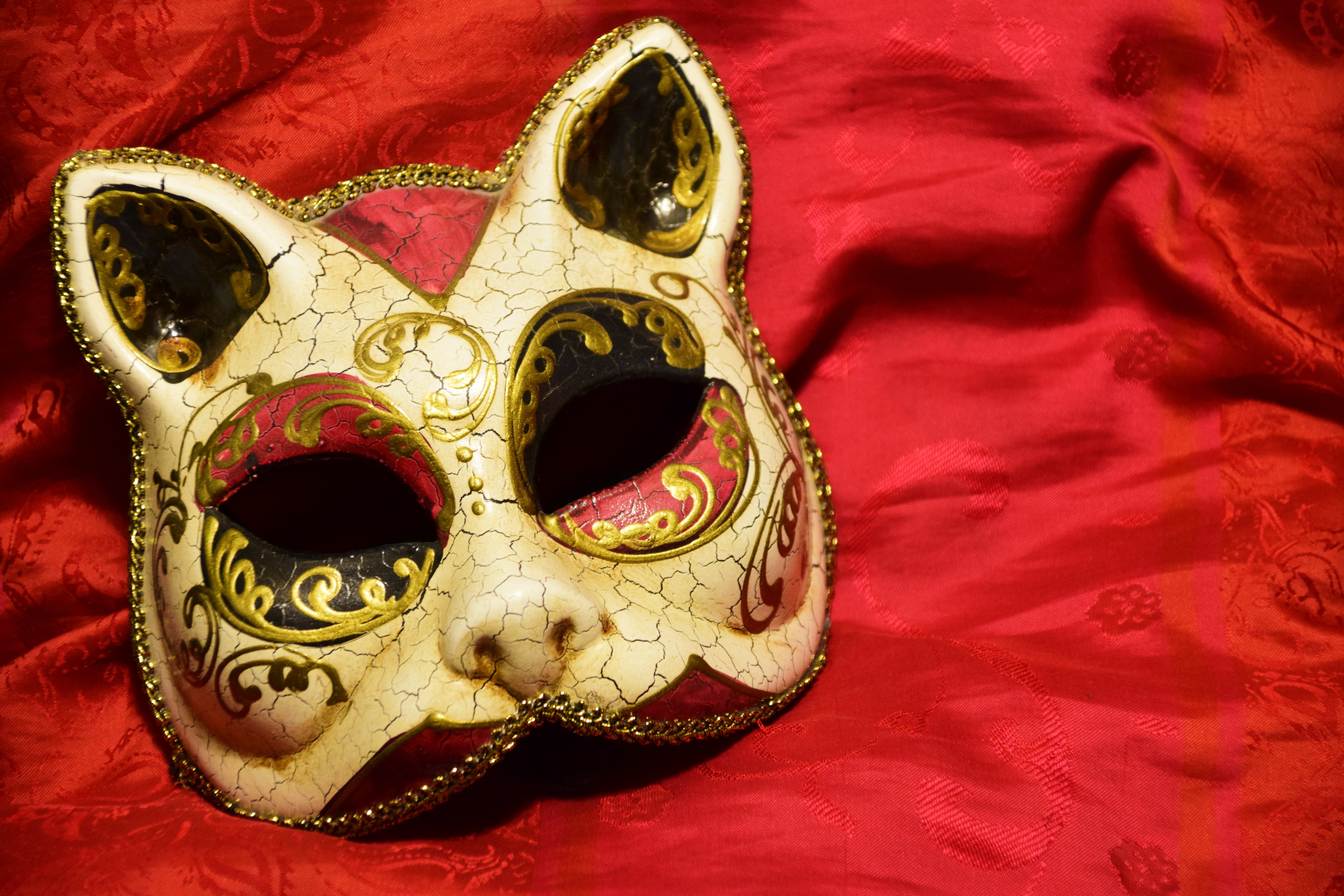 gold, greeting card, 5K, carnival, larva, festival, mask, color, pattern, textile, cat mask, cat, face, arts culture and entertainment, red, still life, HD Wallpaper