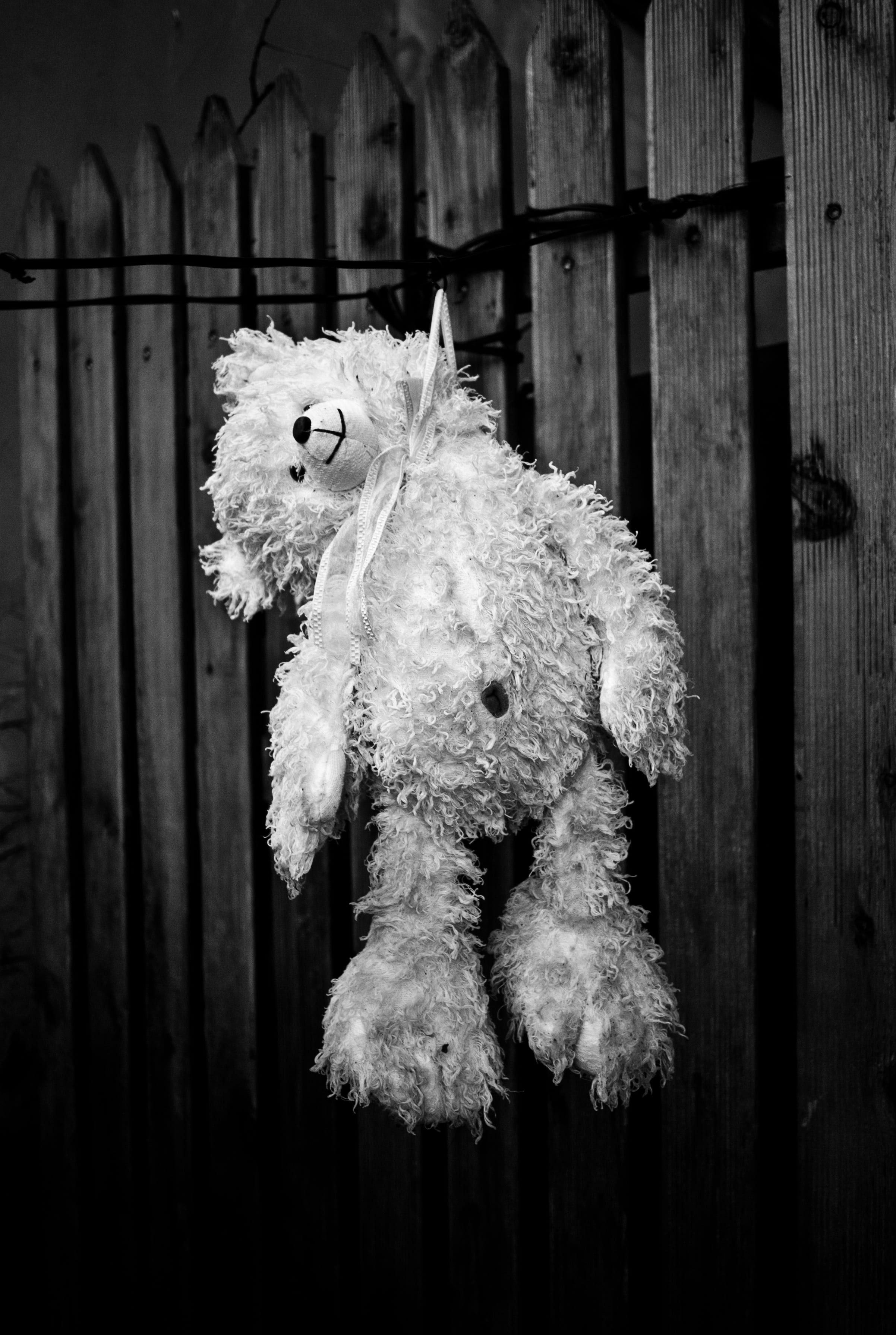 holiday, contrast, day, depressed, toy, death, wood - material, art and craft, still life, bear, picture, photo, child, end, representation, plush, black, Phone HD Wallpaper
