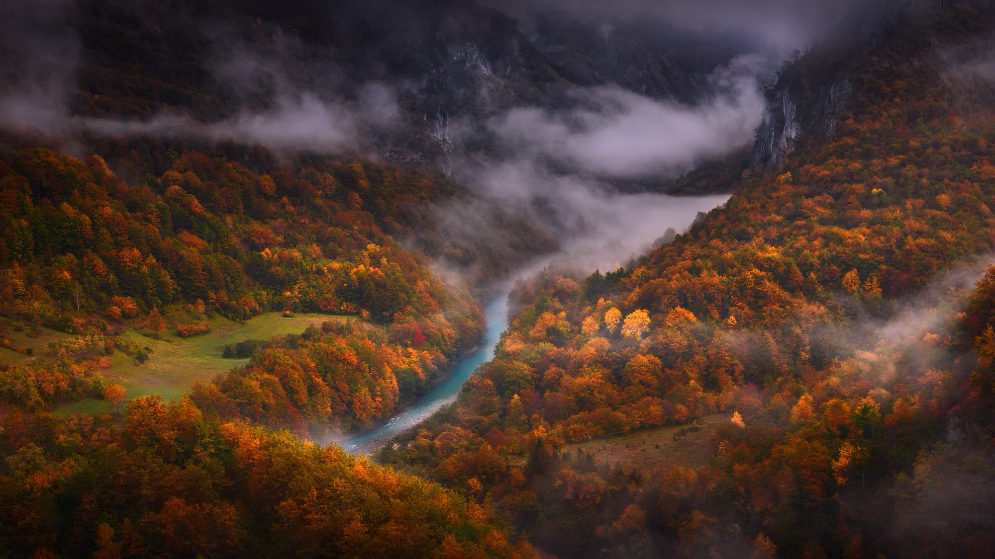 tree, 1080P, volcano, trees, aerial view, nature, no people, beauty in nature, smoke - physical structure, plant, fall, forest, mountain, environment, HD Wallpaper