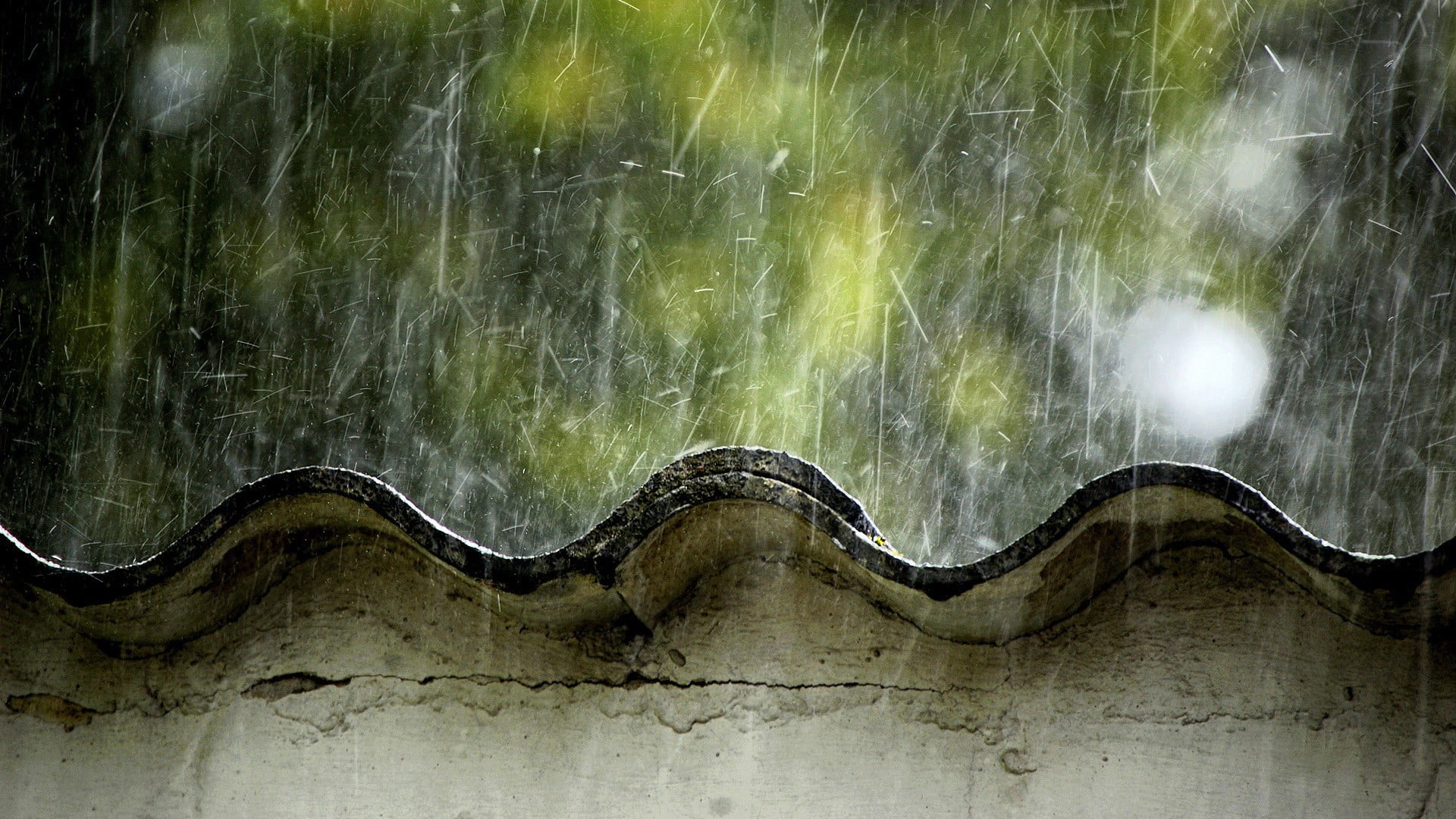 no people, beauty in nature, wooden, plant, reptile, water, snake, tranquility, environment, 1080P, photography, black, non-urban scene, sky, day, outdoors, HD Wallpaper