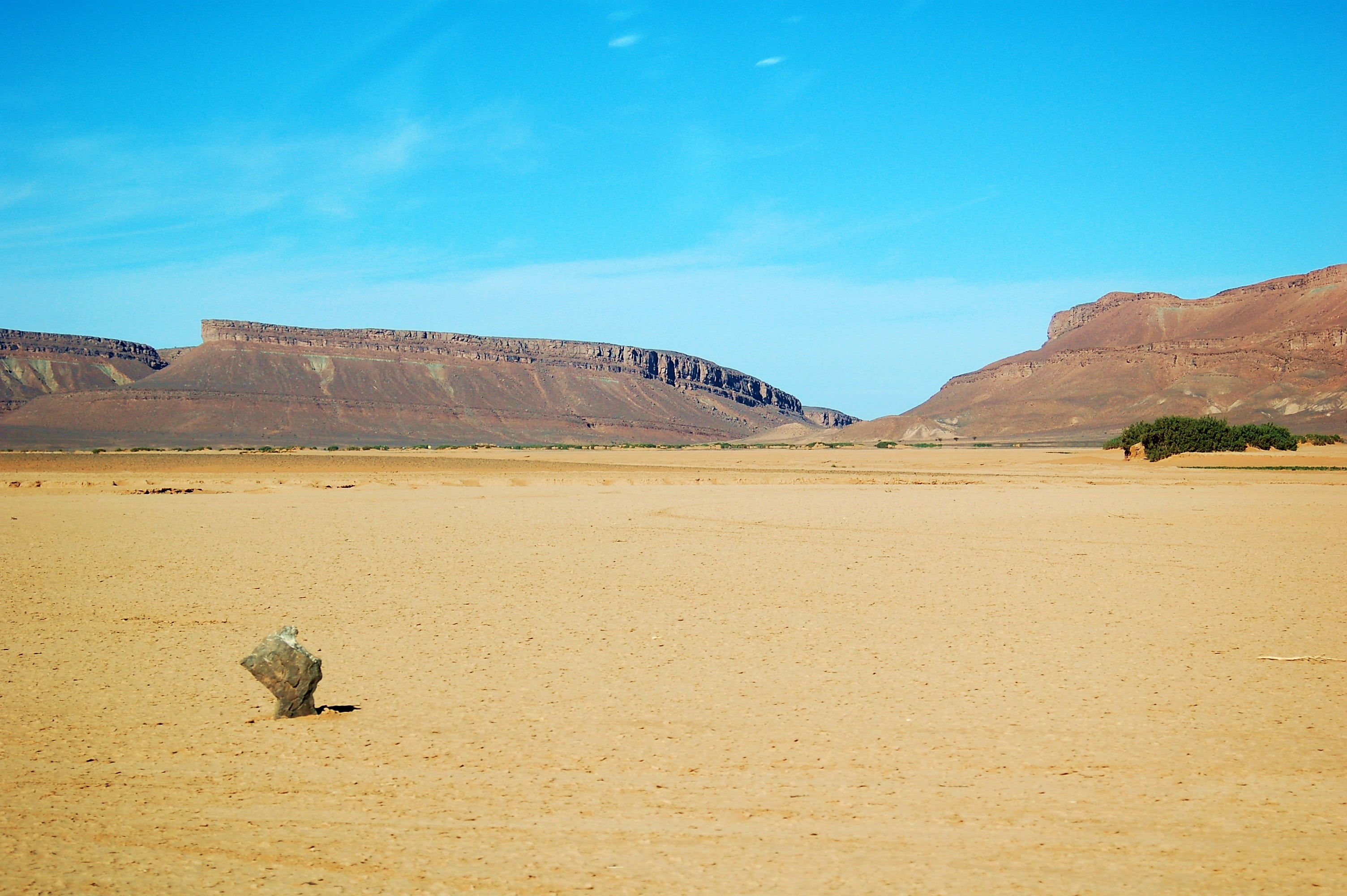 animal wildlife, travel destinations, sands, mountain, no people, calm, sky, day, marroc, semi-arid, landscape, rock, background, peaceful, blue, HD Wallpaper